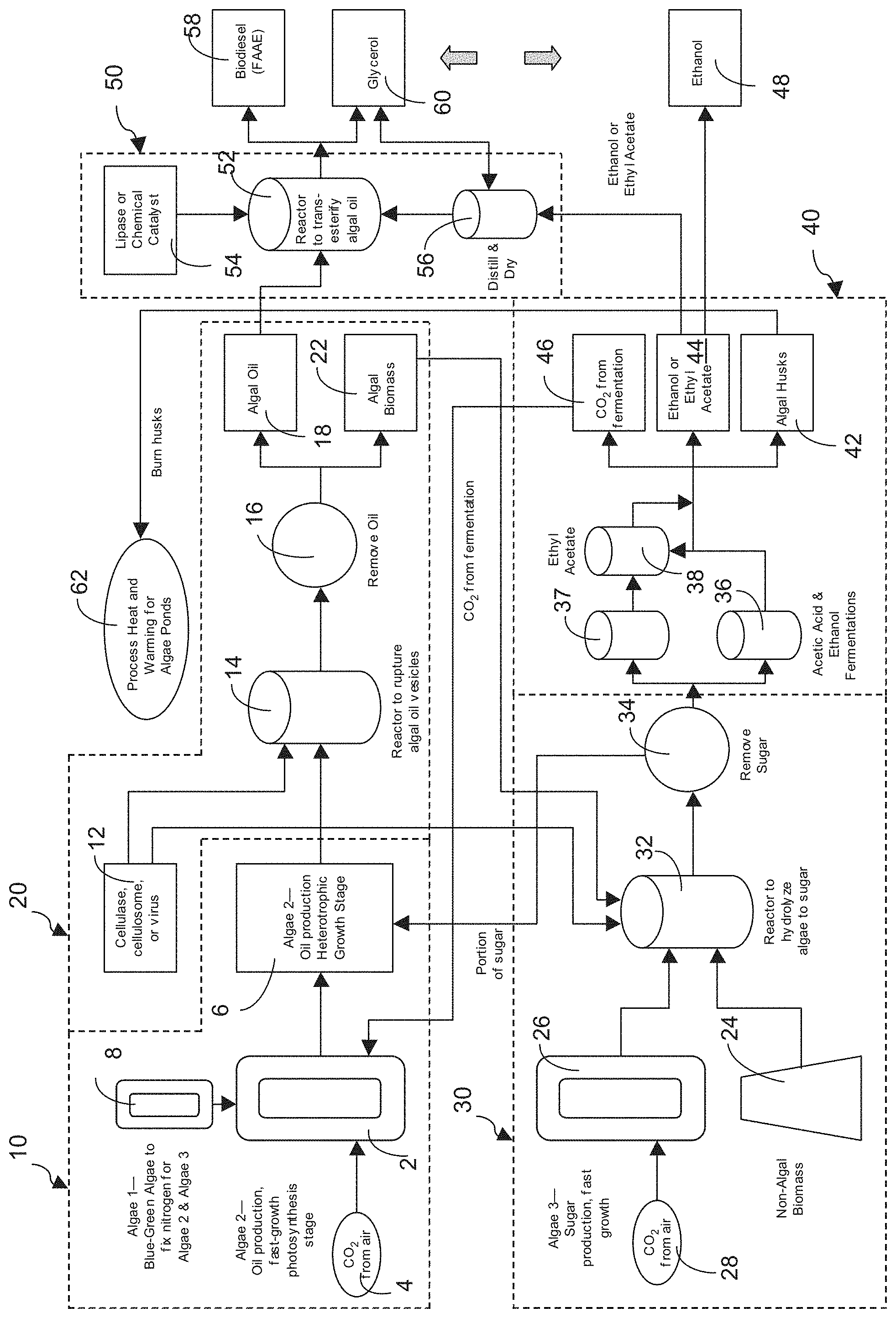 Patent US11781162 — Two-stage process for producing oil from microalgae — Figure 1