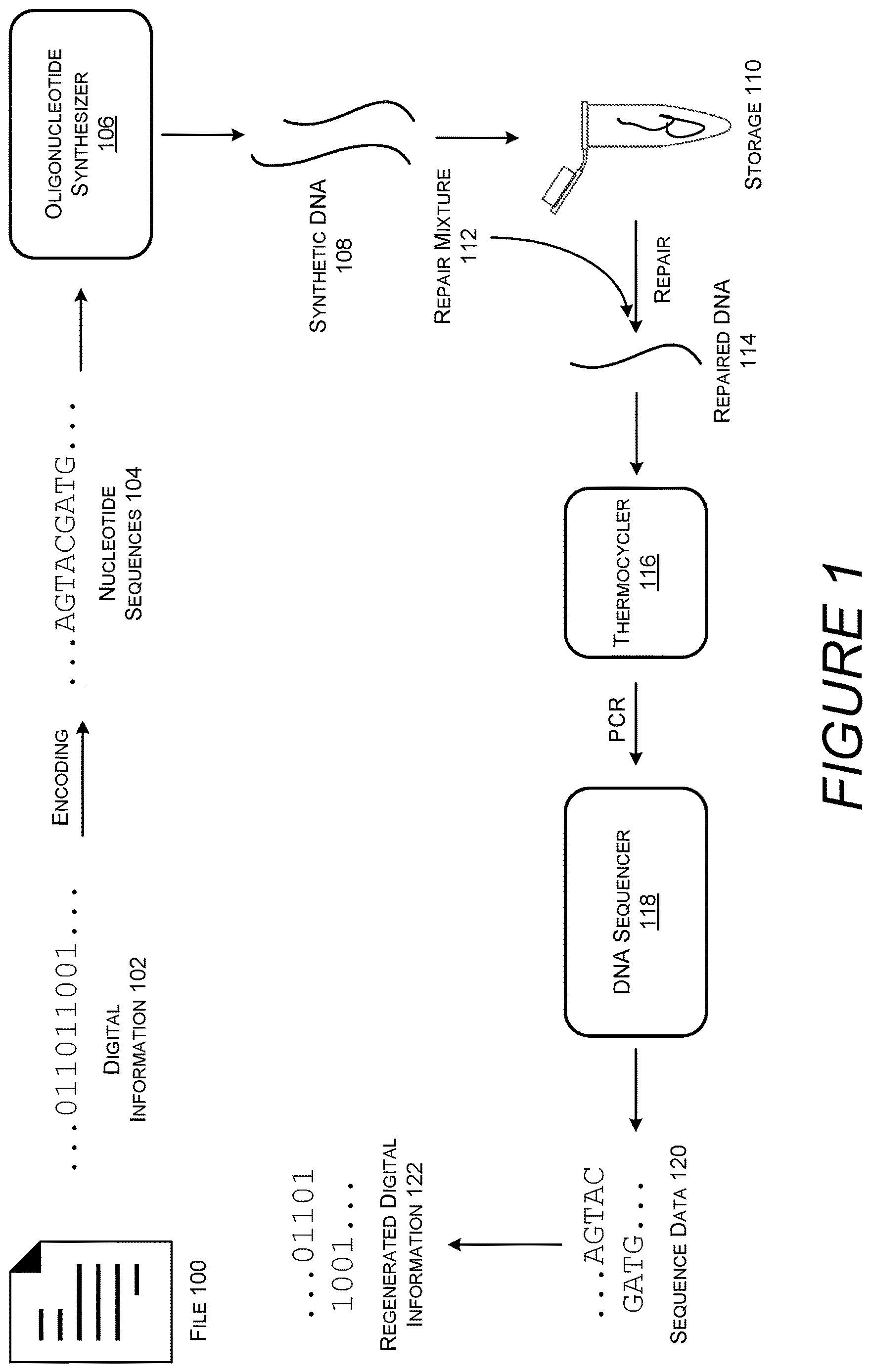 Patent US11781169 Figure 1 – Enzymatic DNA repair