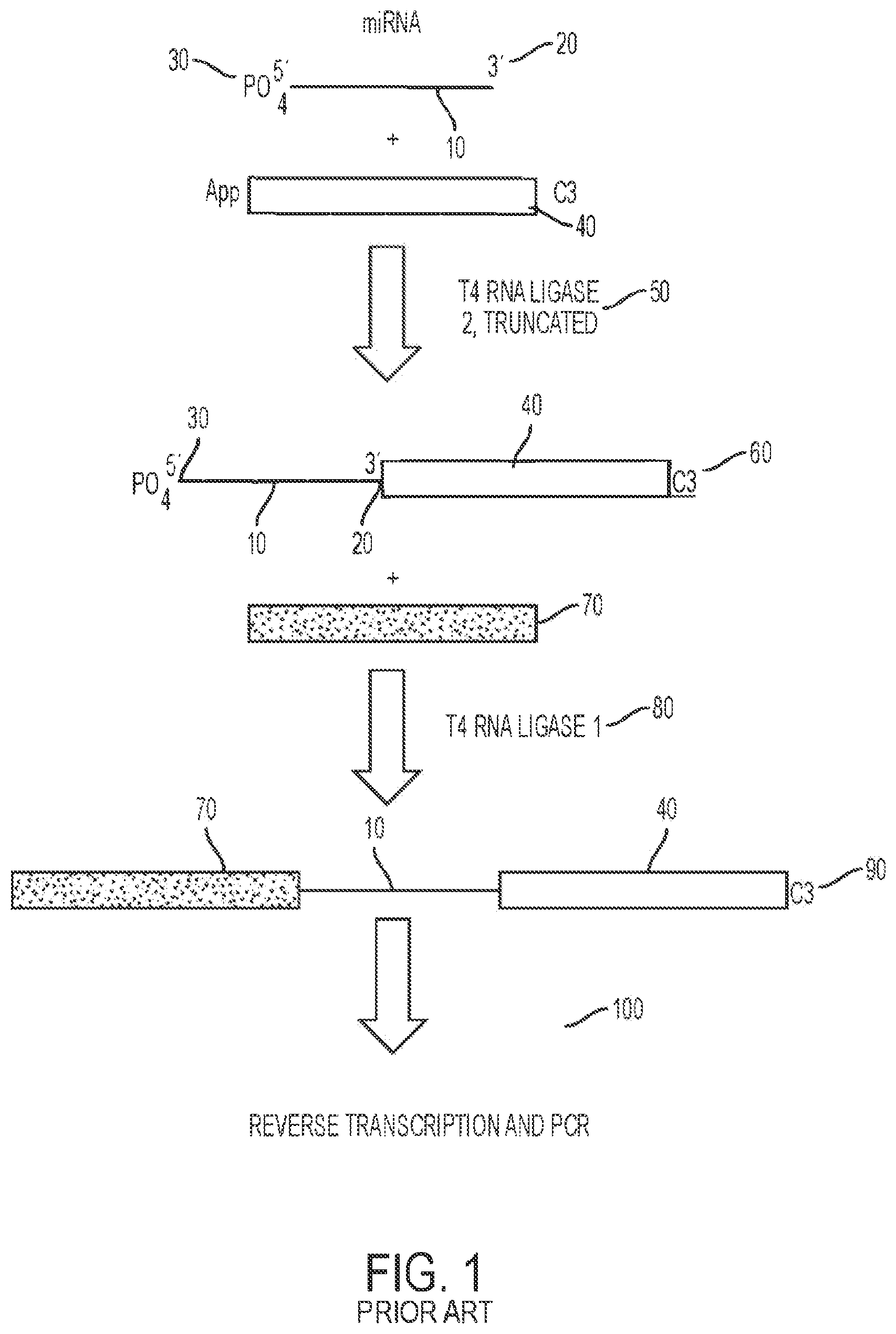 Patent US11781176 Figure 1 – Method for blocking miRNA