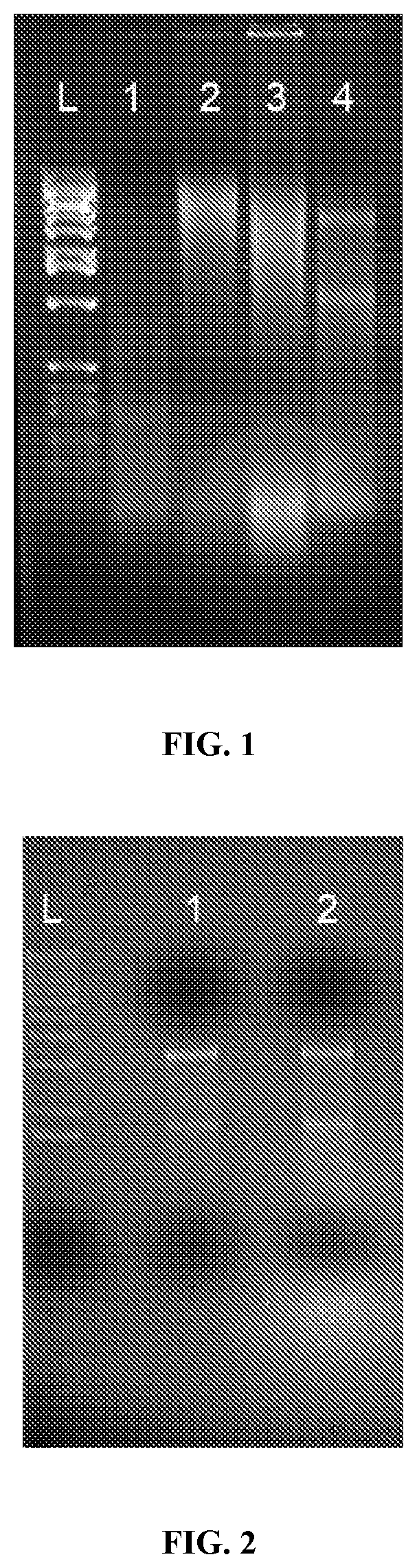 Patent US11781178 — Methods and compositions for the amplification of mRNA — Figure 1