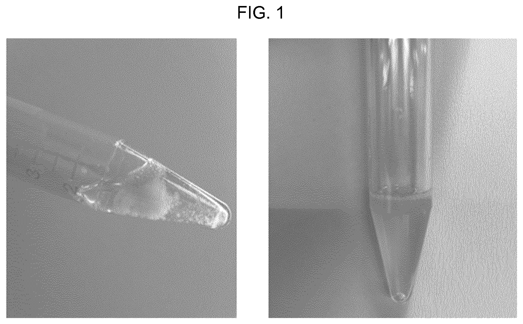 Patent US11781980 — Fetal lung maturity test — Figure 1
