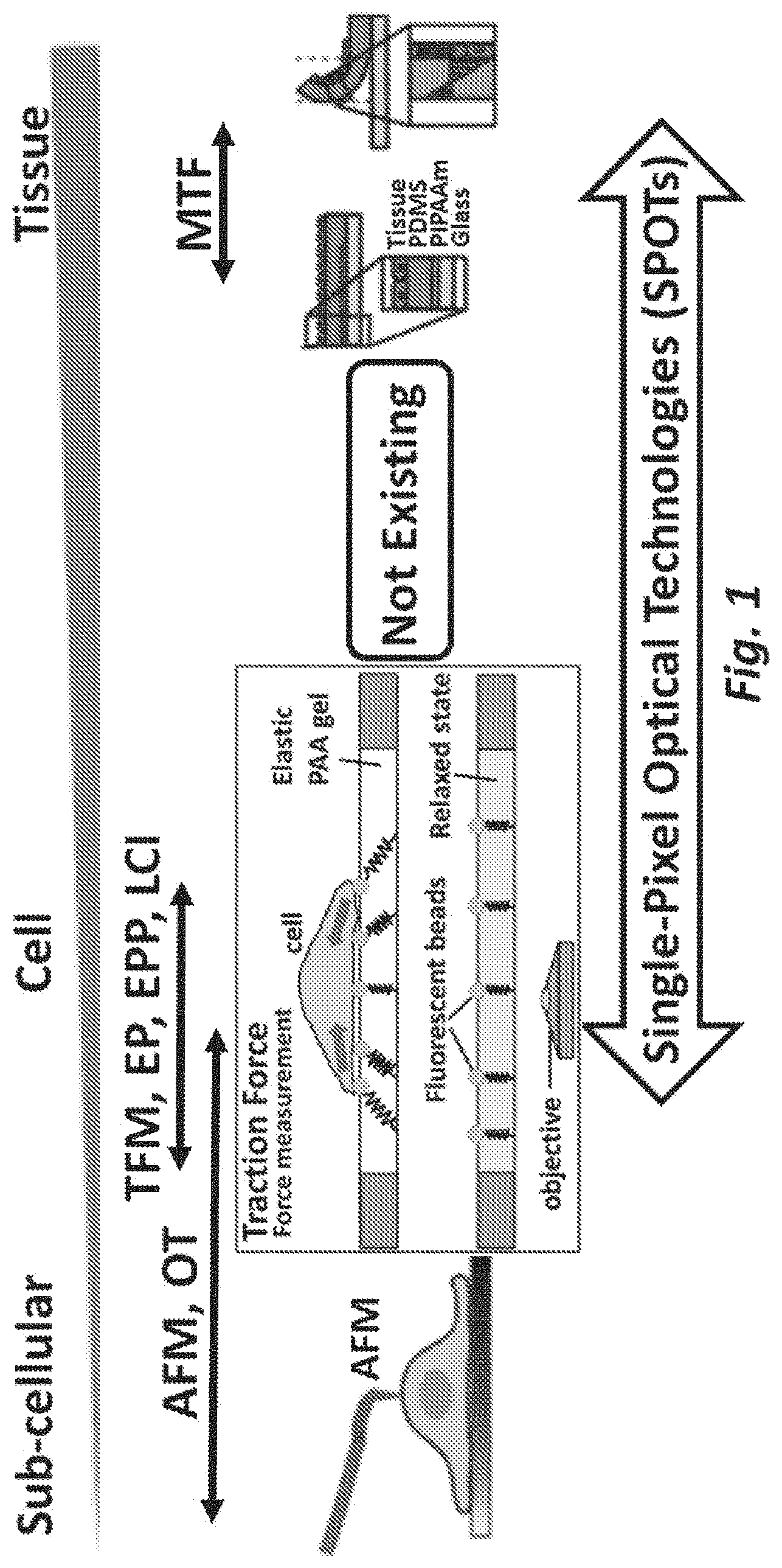 Patent US11782046 — Single-pixel optical technologies for instantly quantifying multicellular response profiles — Figure 1