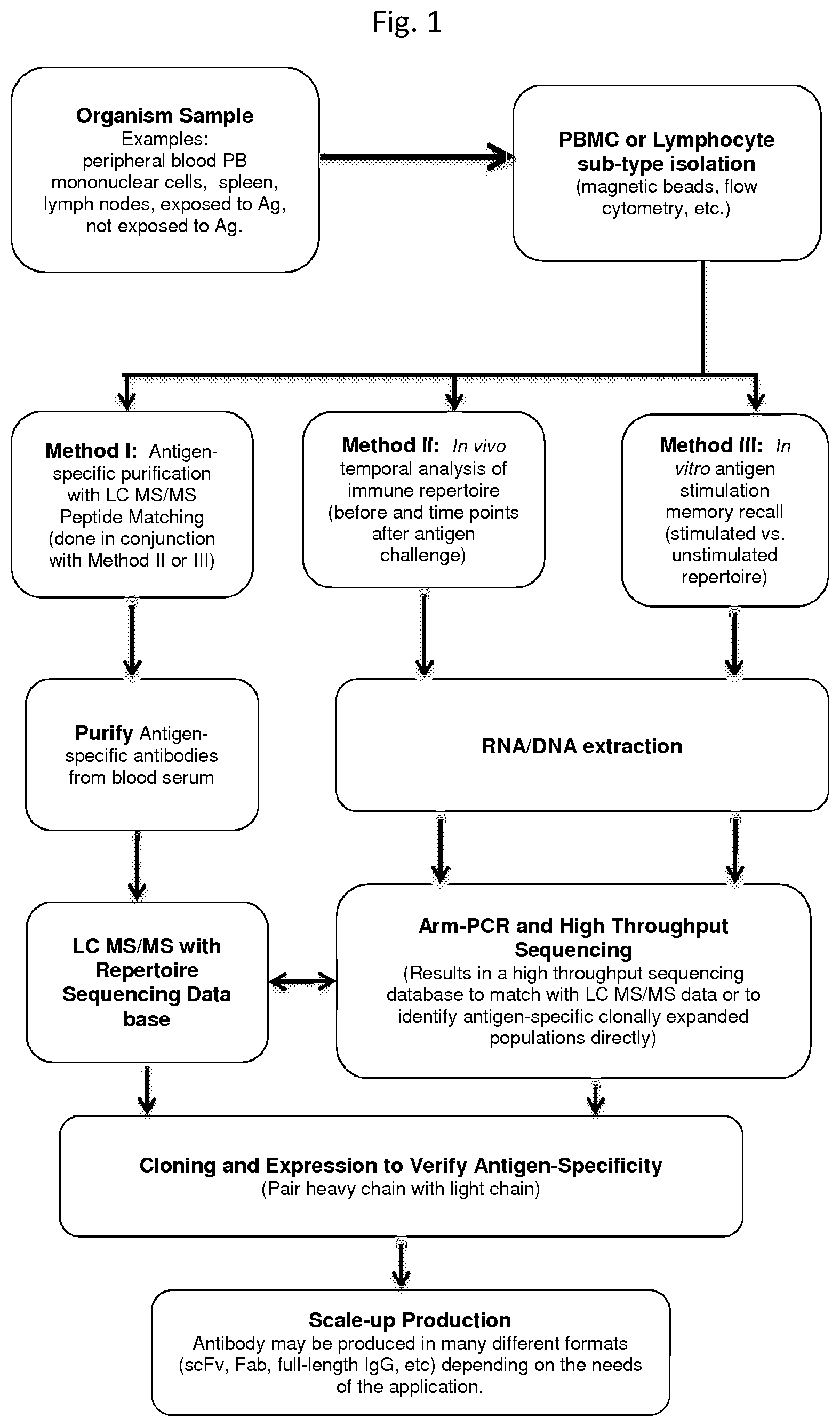 Patent US11782053 — Identification of antigen-specific adaptive immune responses using ARM-PCR and high-throughput sequencing — Figure 1