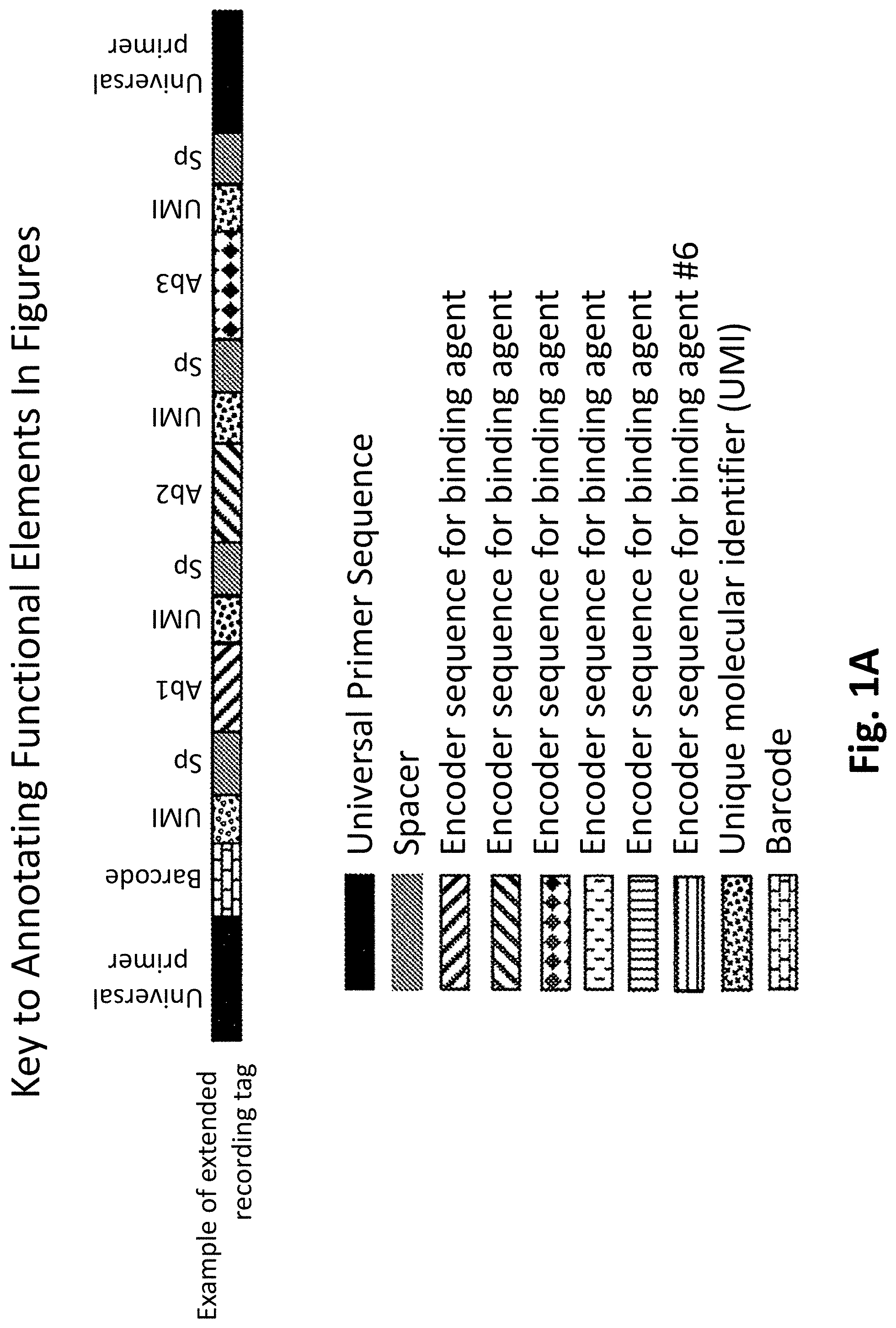 Patent US11782062 — Kits for analysis using nucleic acid encoding and/or label — Figure 1