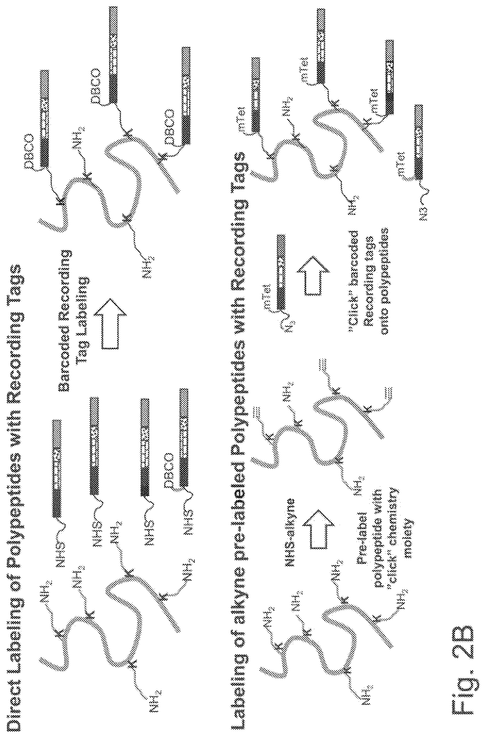 Patent US11782062 Figure 4 – Kits for analysis using nucleic acid encoding and/or label