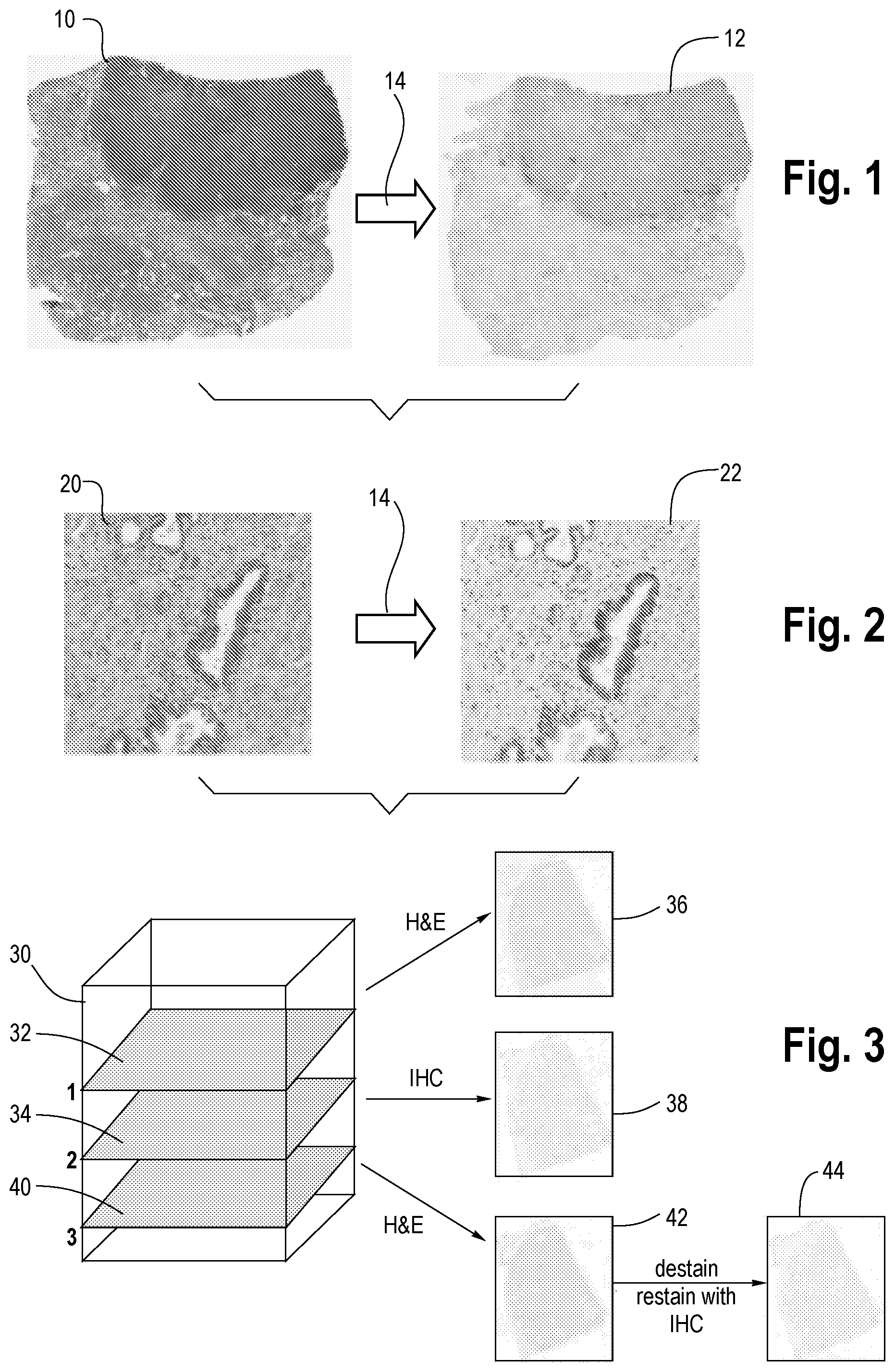 Patent US11783603 — Virtual staining for tissue slide images — Figure 1