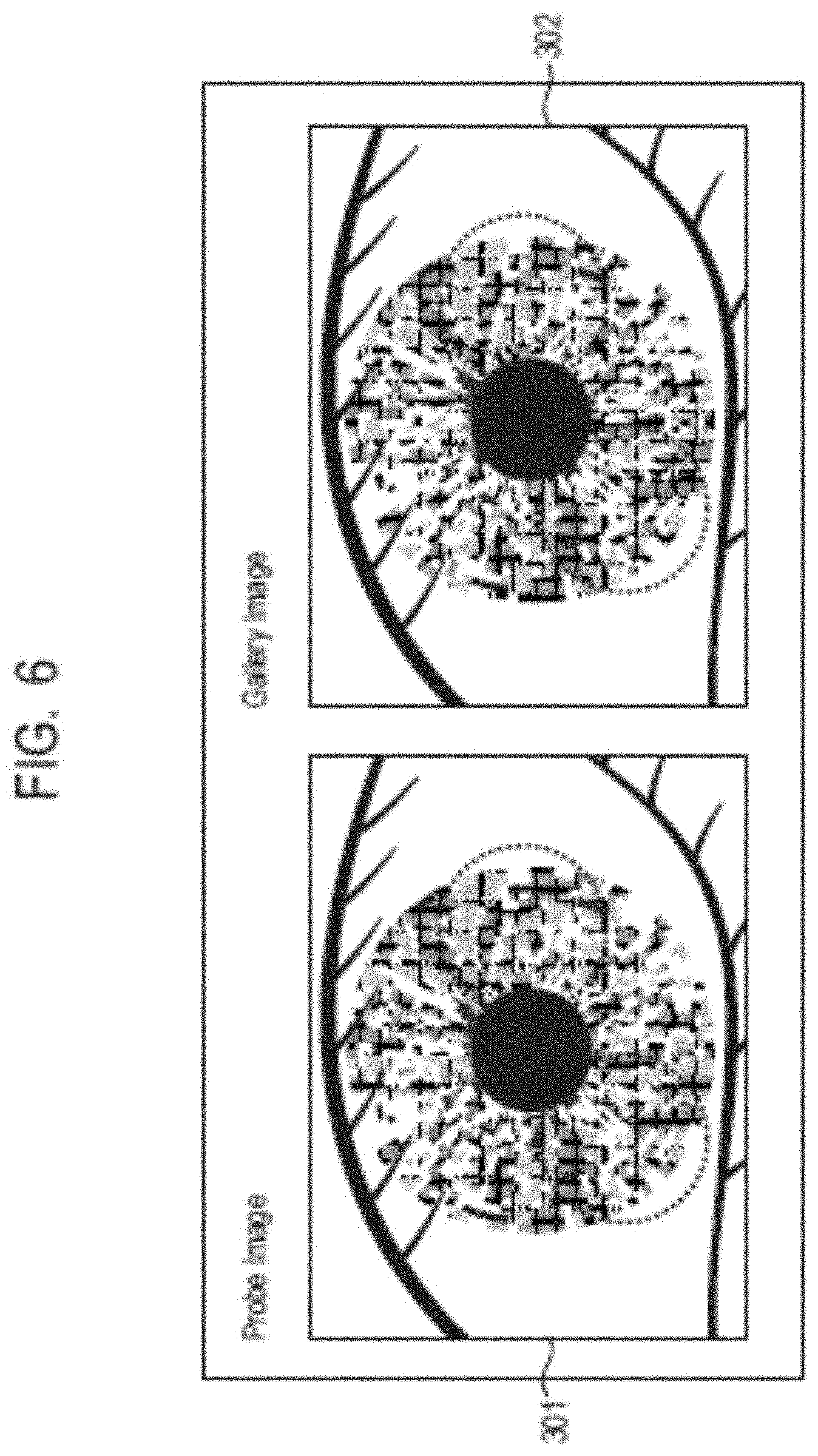 Patent US11783631 Figure 6 – Information processing system, information processing method, and storage medium