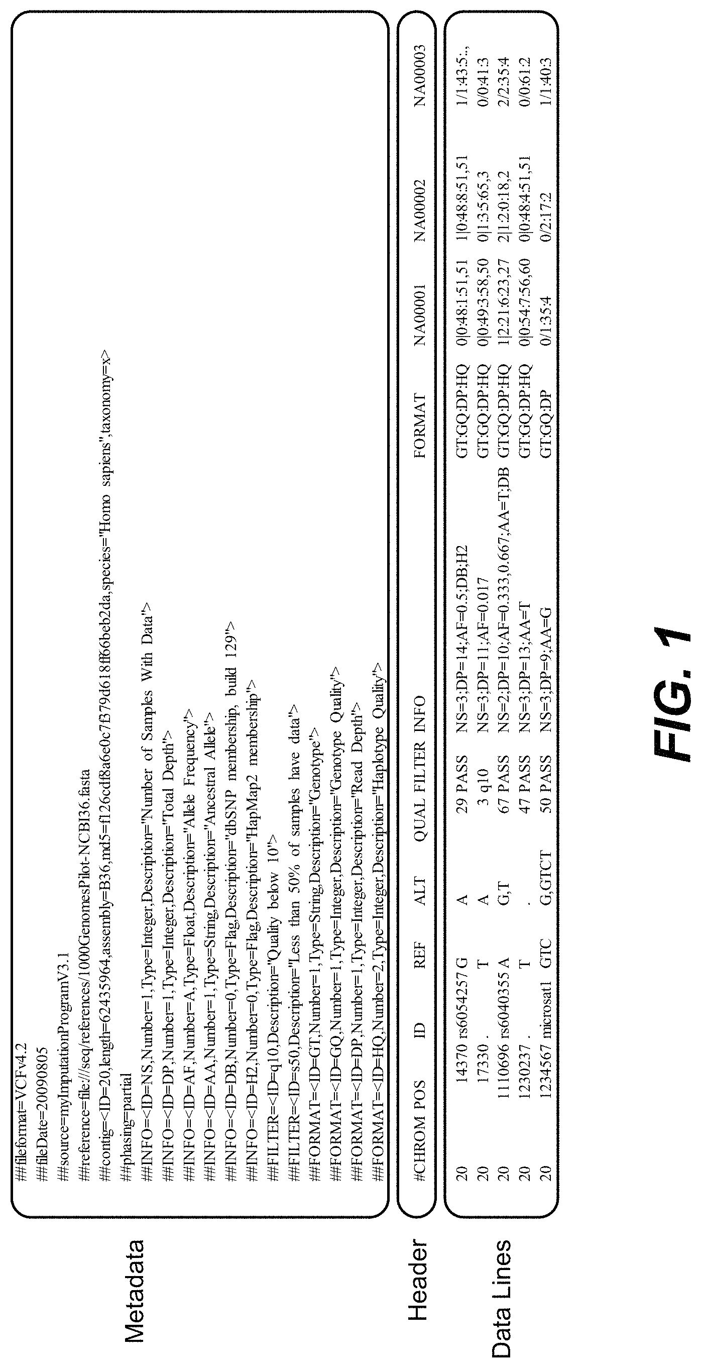 Patent US11783919 — Formatting and storage of genetic markers — Figure 1