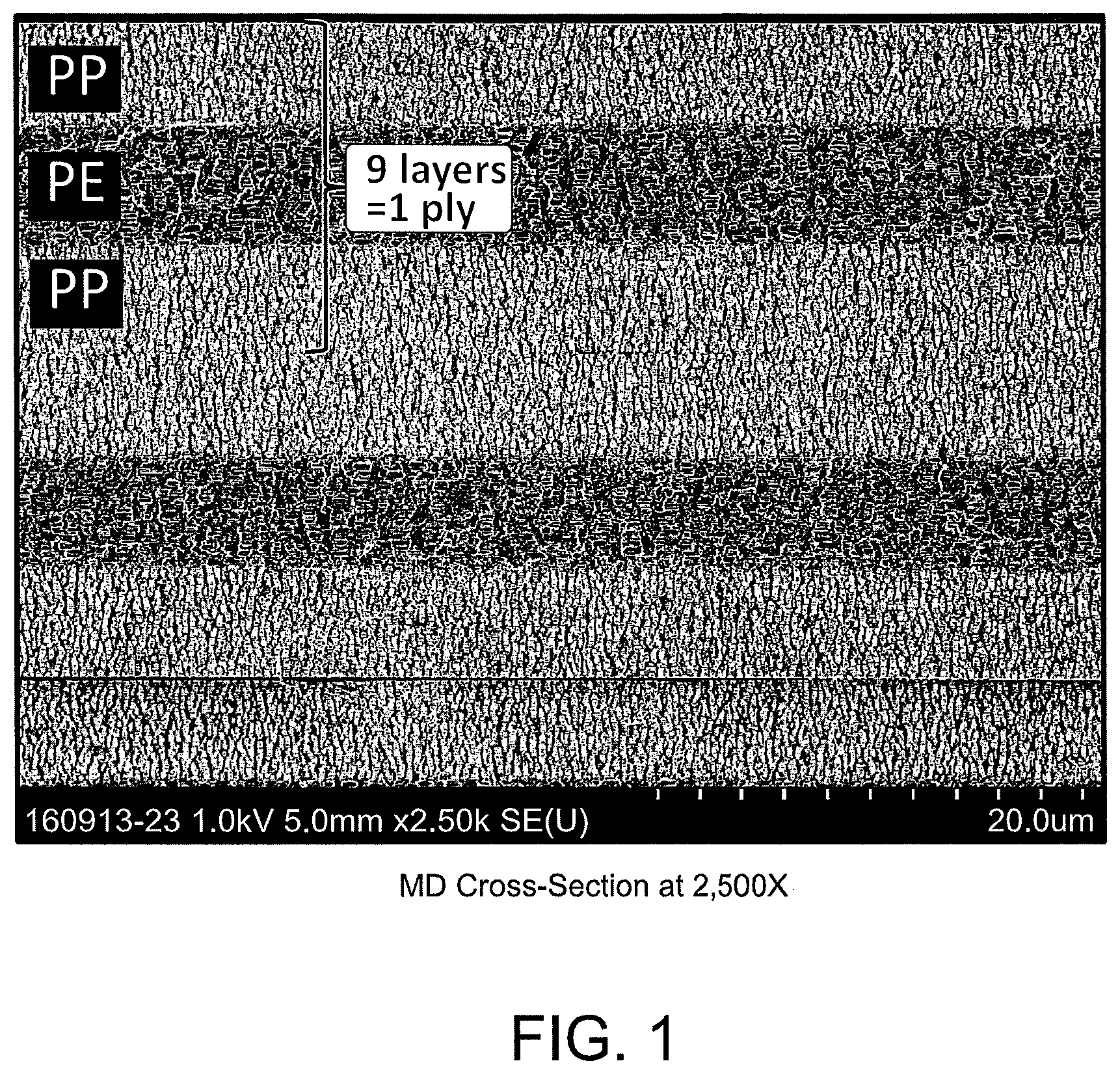Patent US11784344 — Microlayer membranes, improved battery separators, and methods of manufacture and use — Figure 1