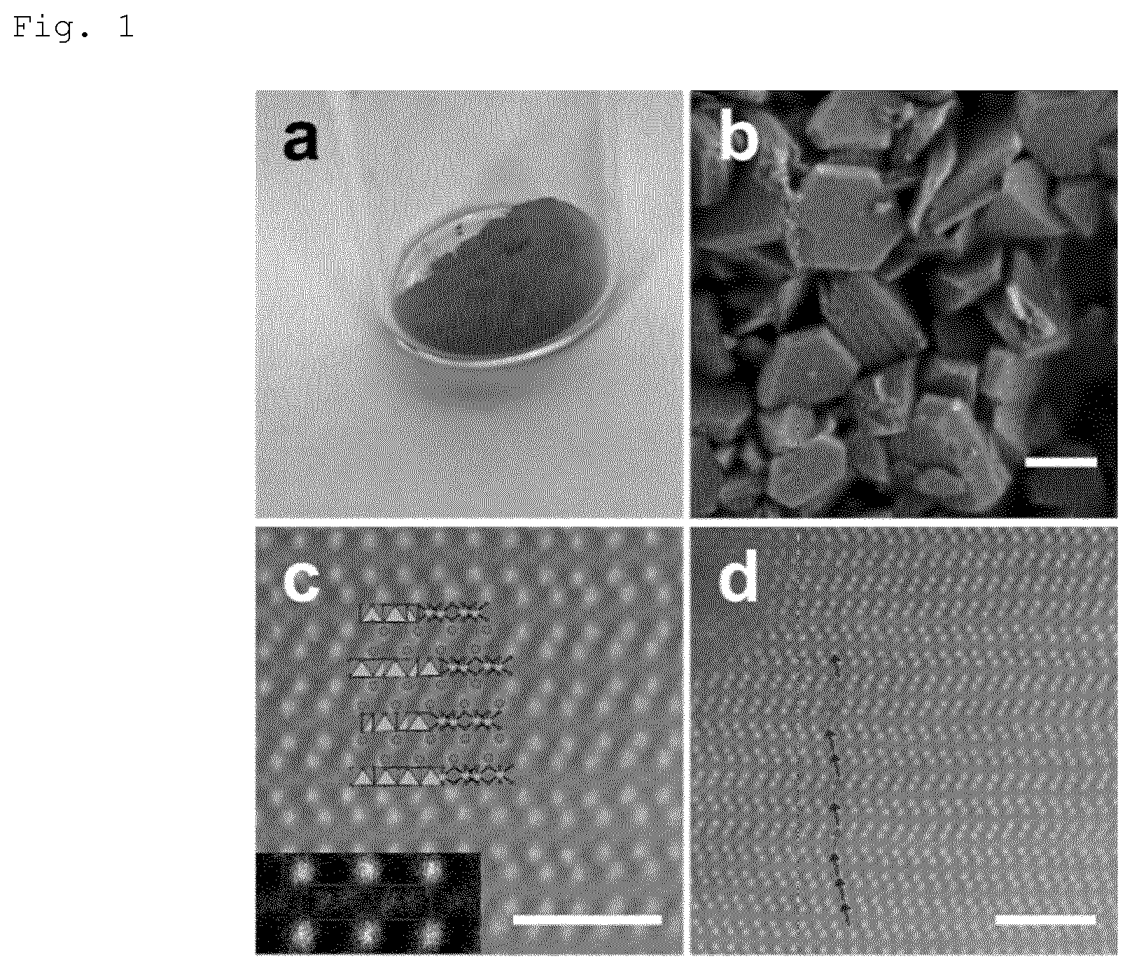 Patent US11787702 — SnTiO3 material, method of preparation thereof, use thereof as ferroelectric material and device comprising a ferroelectric material — Figure 1