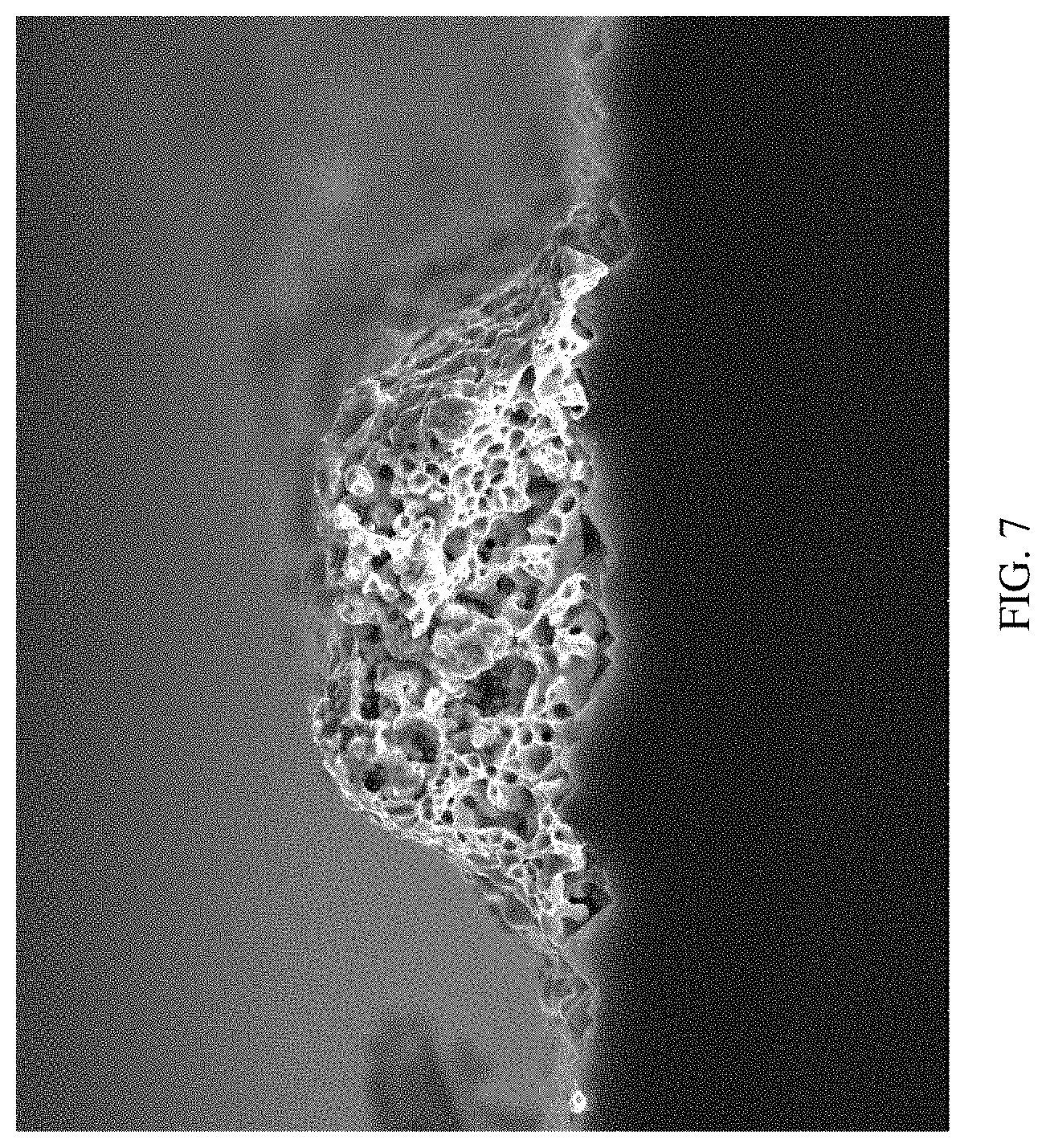 Patent US11787730 Figure 7 – Glass powder and silver paste comprising same