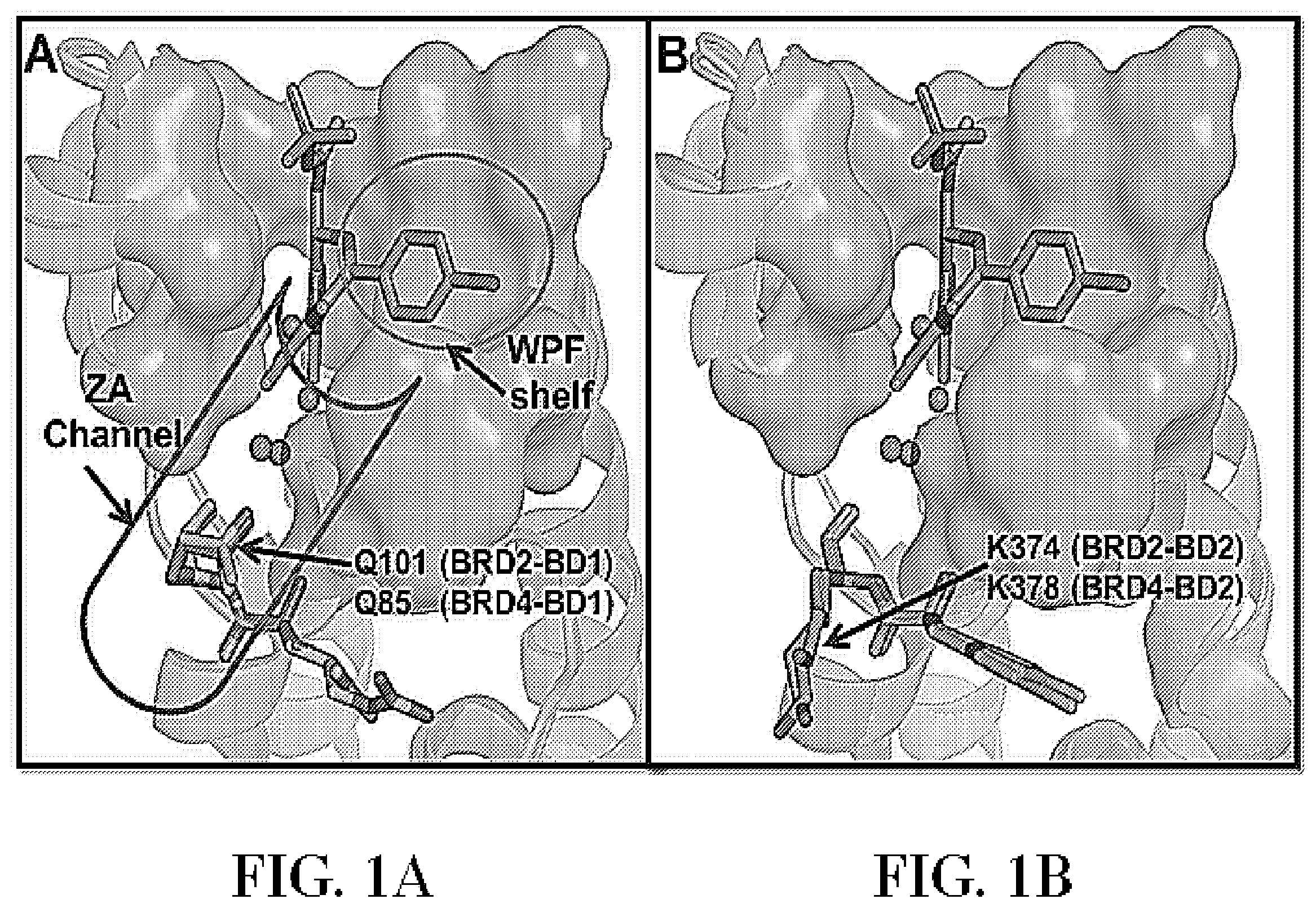 Patent US11787768 — Tetrahydroquinoline-based bromodomain inhibitors — Figure 1
