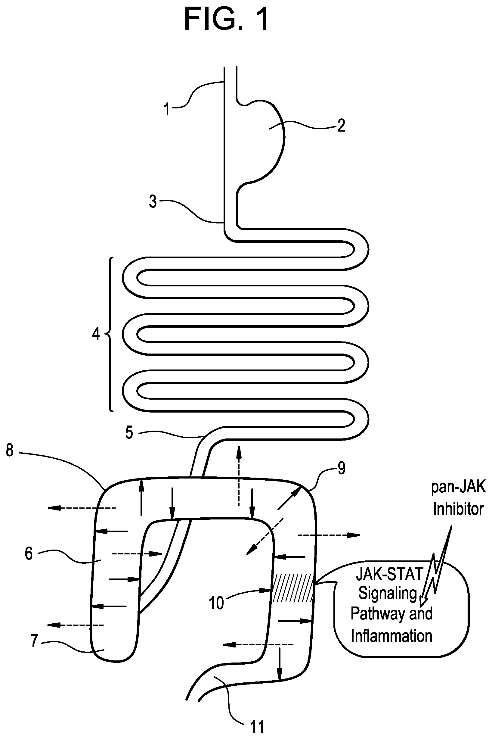 Patent US11787807 — Small molecule inhibitors of the JAK family of kinases — Figure 1