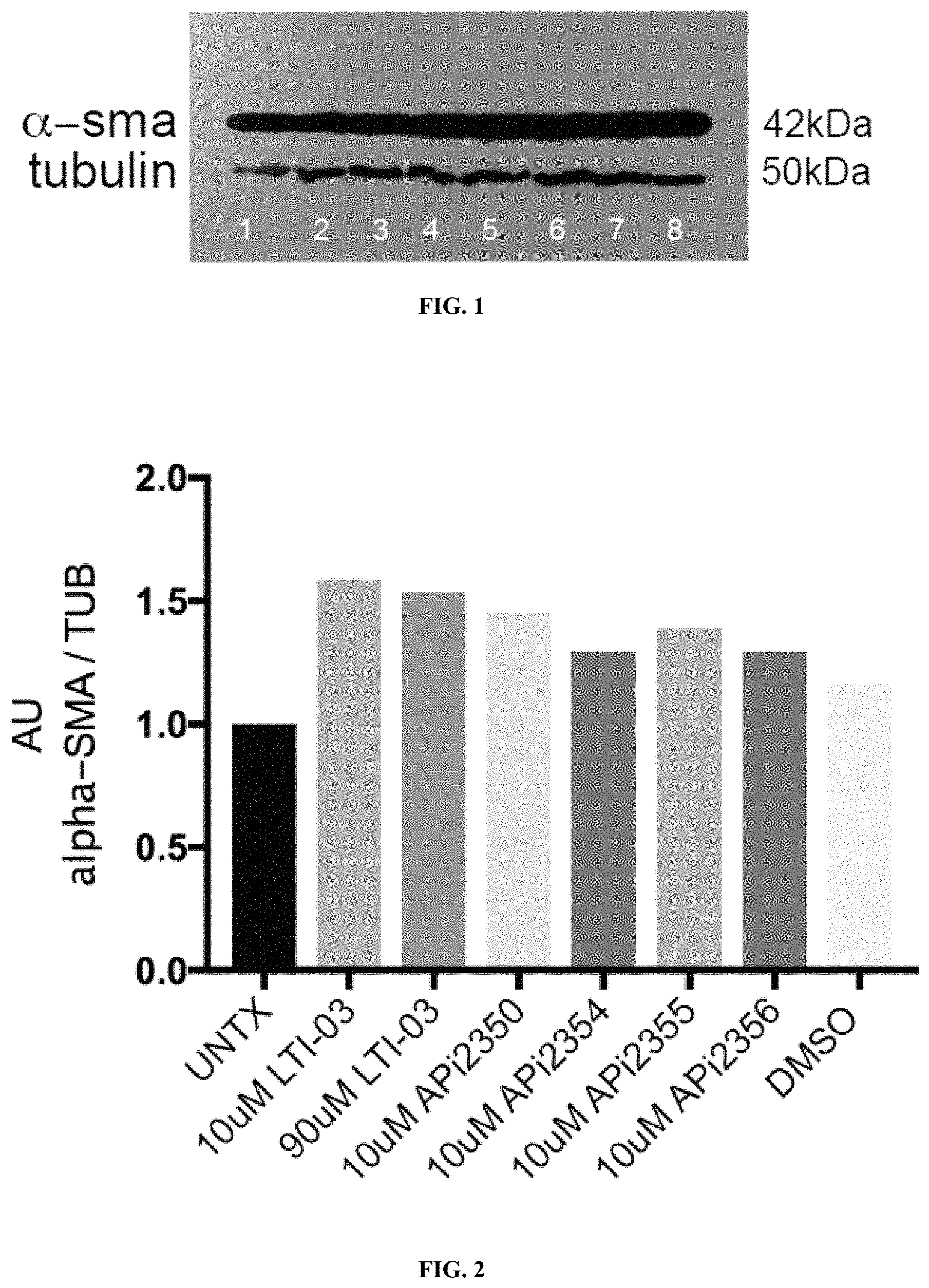 Patent US11787838 — Modified peptide fragments of CAV-1 protein and the use thereof in the treatment of fibrosis — Figure 1