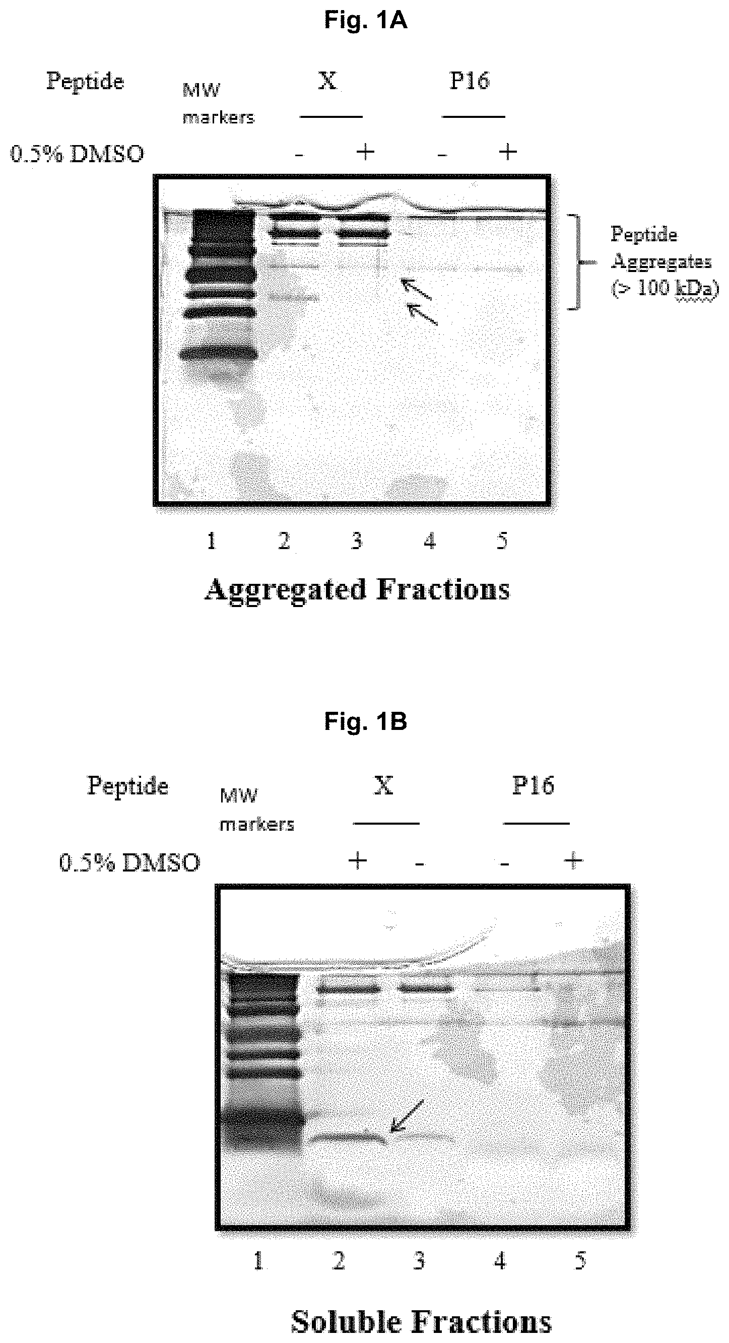 Patent US11787850 — Peptidic TGF-beta antagonists — Figure 1