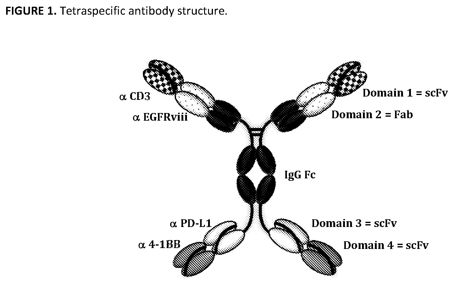 Patent US11787863 — Multi-specific antibodies and methods of making and using thereof — Figure 1