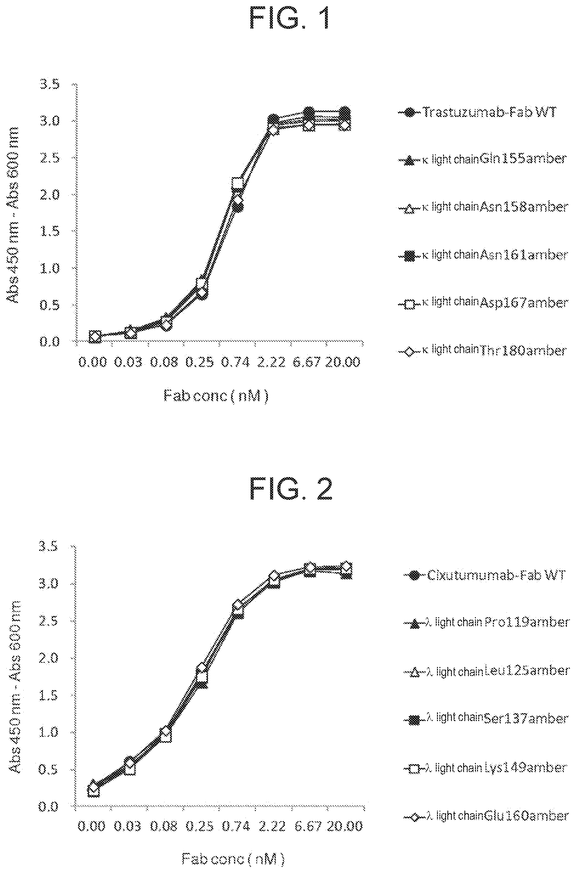 Patent US11787877 — Antibody with non-natural amino acid introduced therein — Figure 1