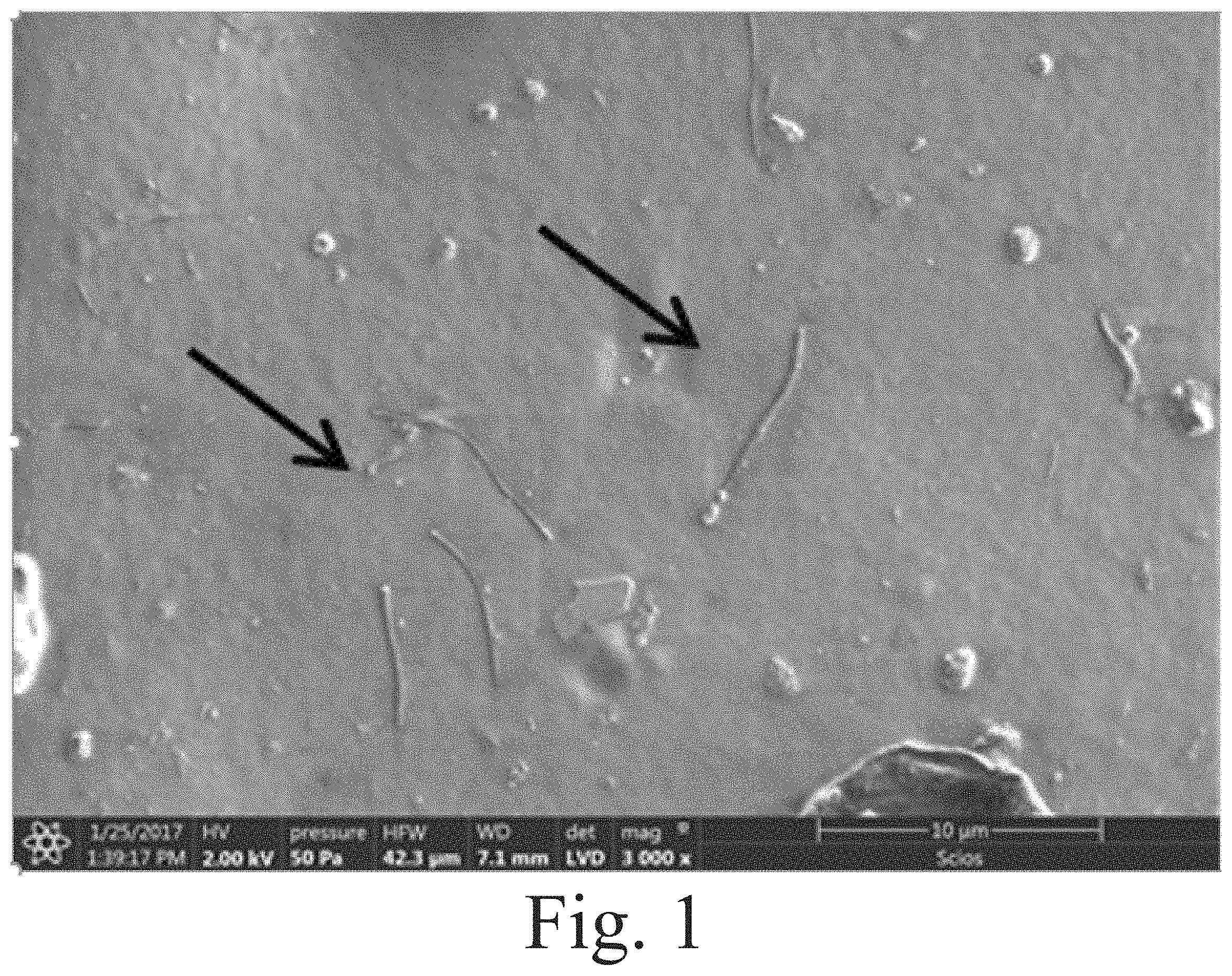 Patent US11787912 — Highly filled carbon nanofiber reinforced polysiloxanes — Figure 1