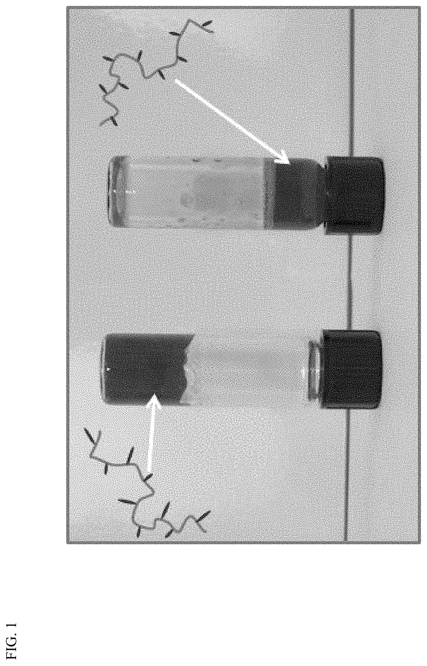 Patent US11787922 — Hydrophobically modified chitosan compositions — Figure 1