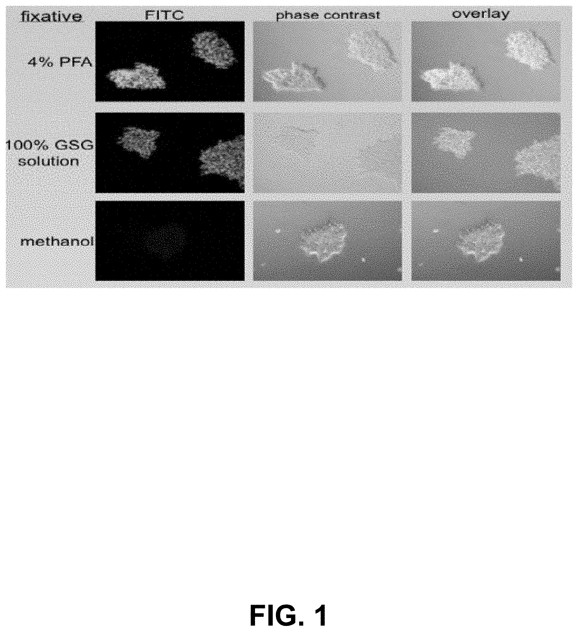 Patent US11793192 — Compositions and methods for preservation and fixation — Figure 1