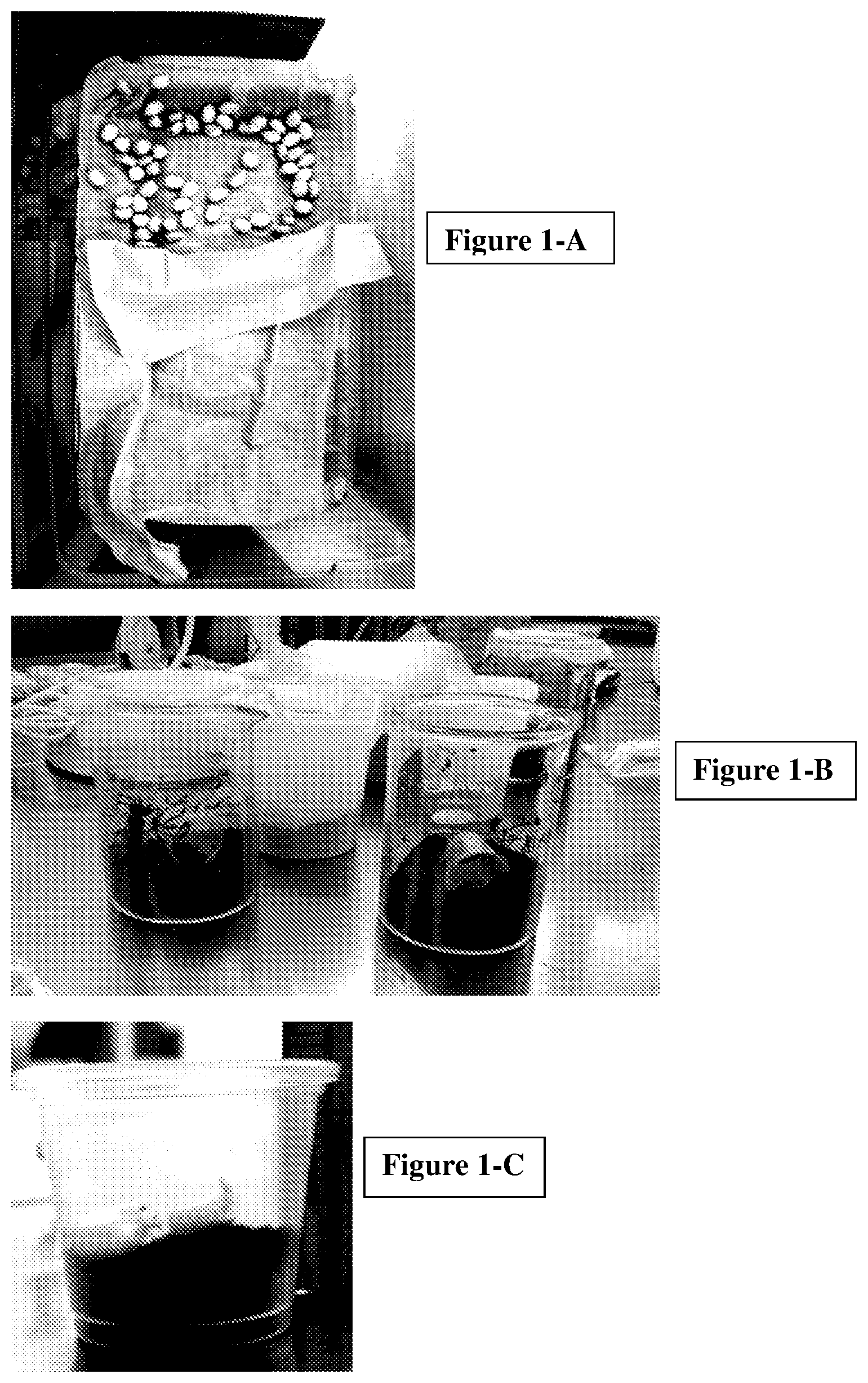 Patent US11793199 — Formulations and methods for controlling rootworm larvae — Figure 1