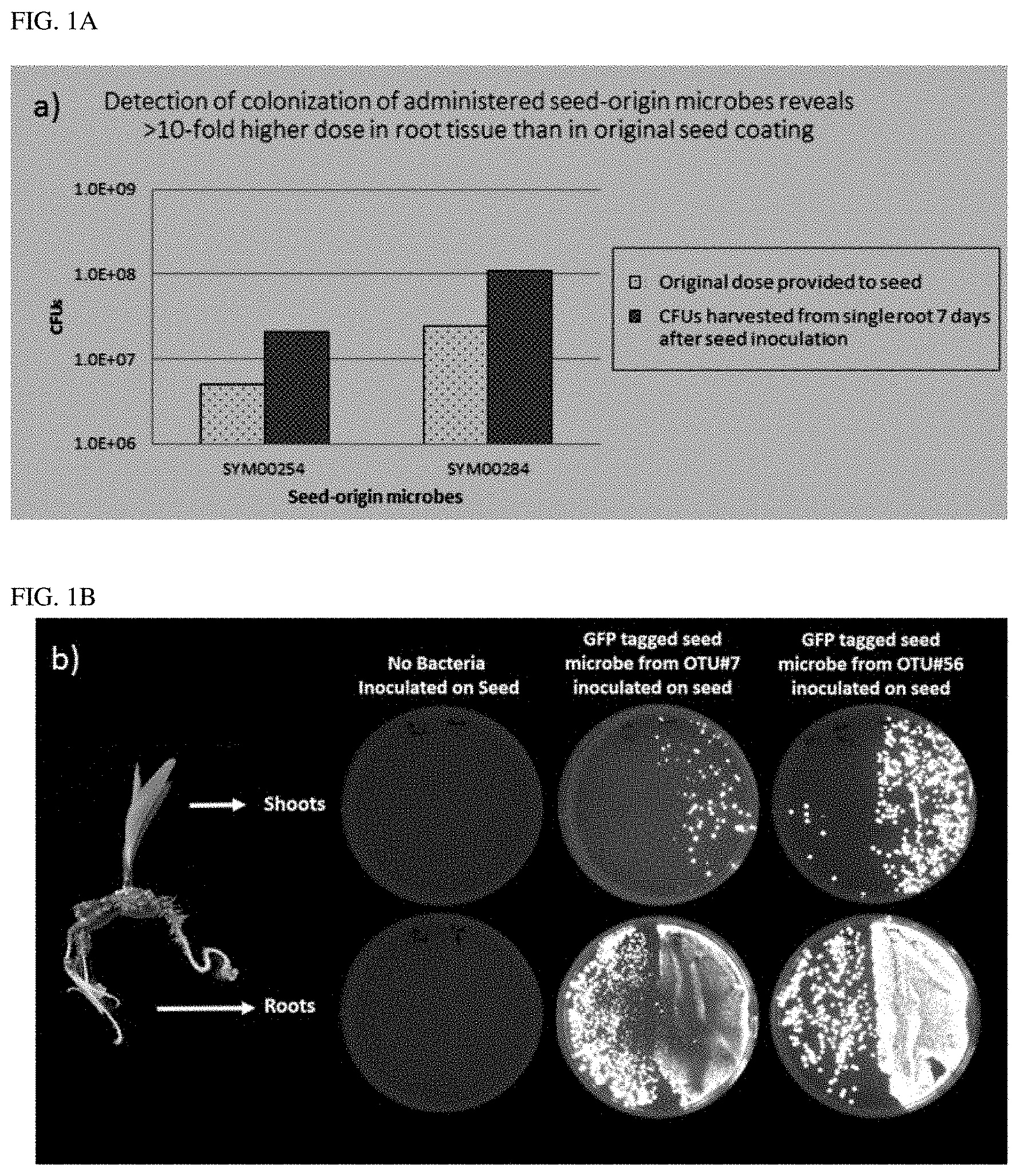 Patent US11793202 — Methods of use of seed-origin endophyte populations — Figure 1