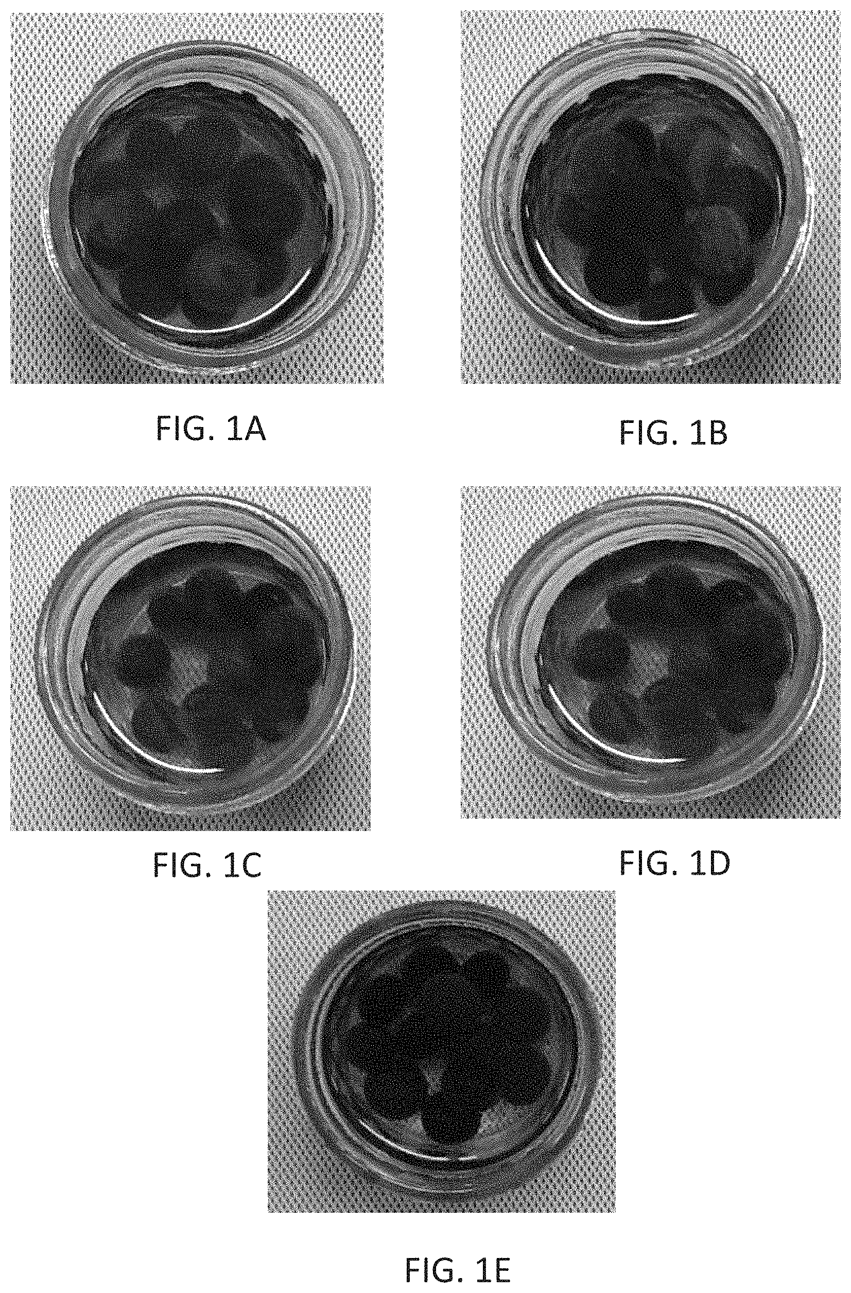 Patent US11793210 Figure 1 – Nano-cellulose coatings to prevent damage in foodstuffs