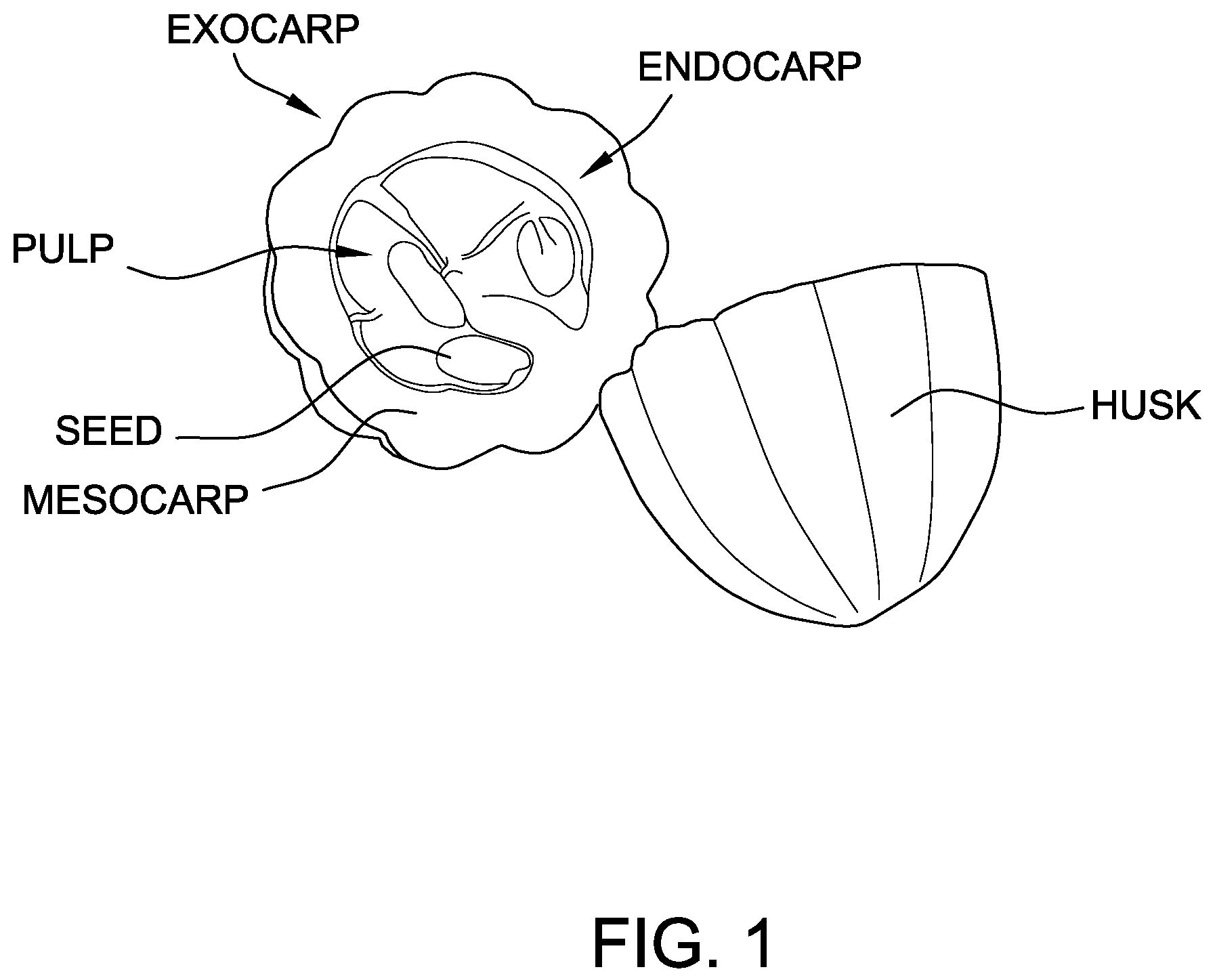 Patent US11793212 — Shelf stable, high moisture fruit confections produced from secondary fruit products — Figure 1