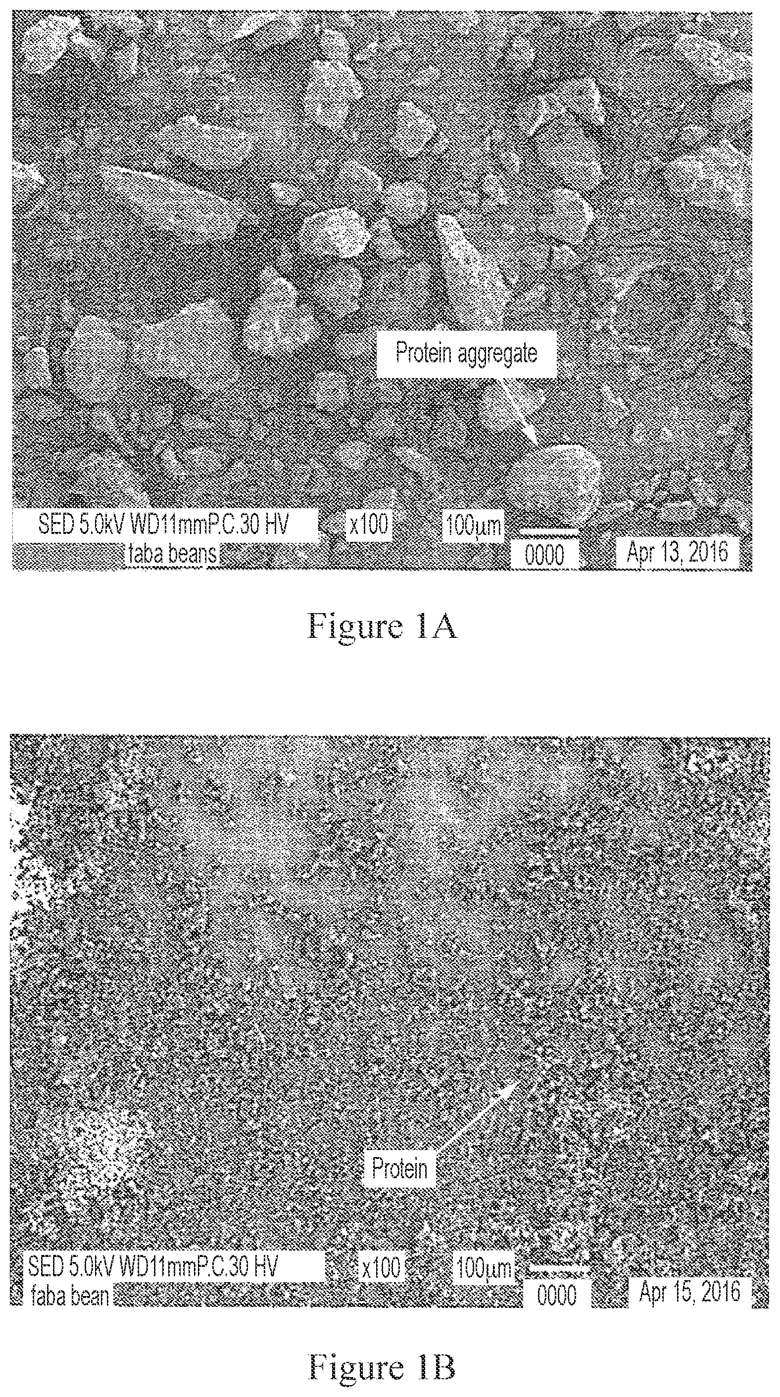 Patent US11793213 — Foodstuffs comprising treated fava bean protein concentrates — Figure 1