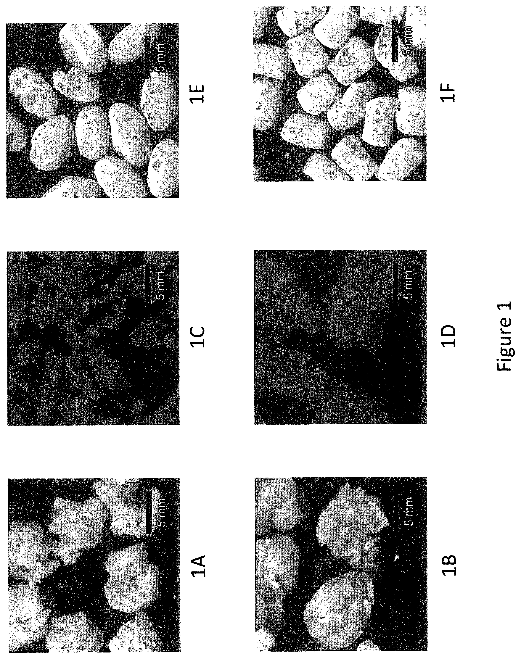 Patent US11793214 — Extruded protein product and methods of making — Figure 1