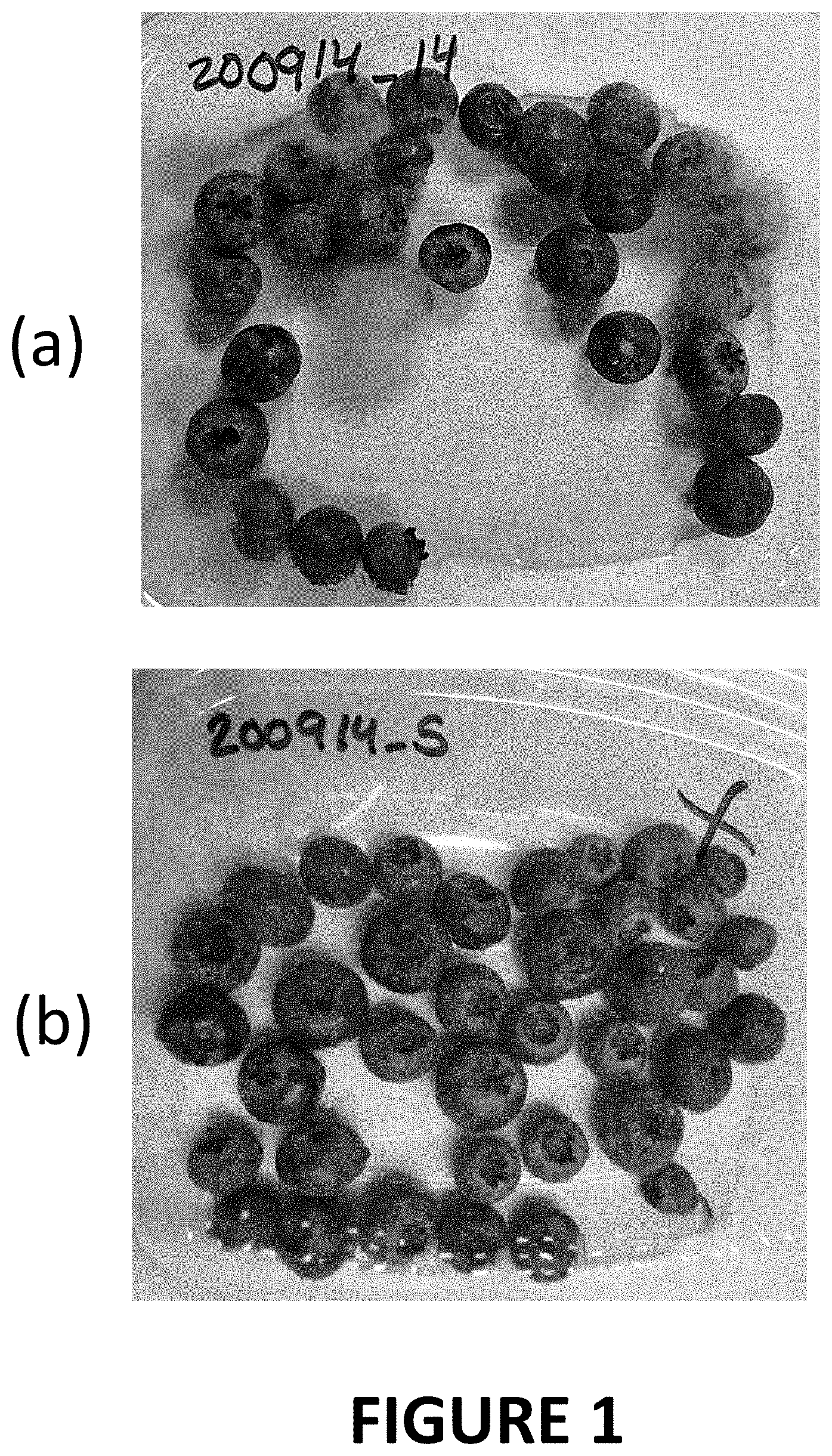 Patent US11793220 — Materials and methods for extending shelf-life of foods — Figure 1