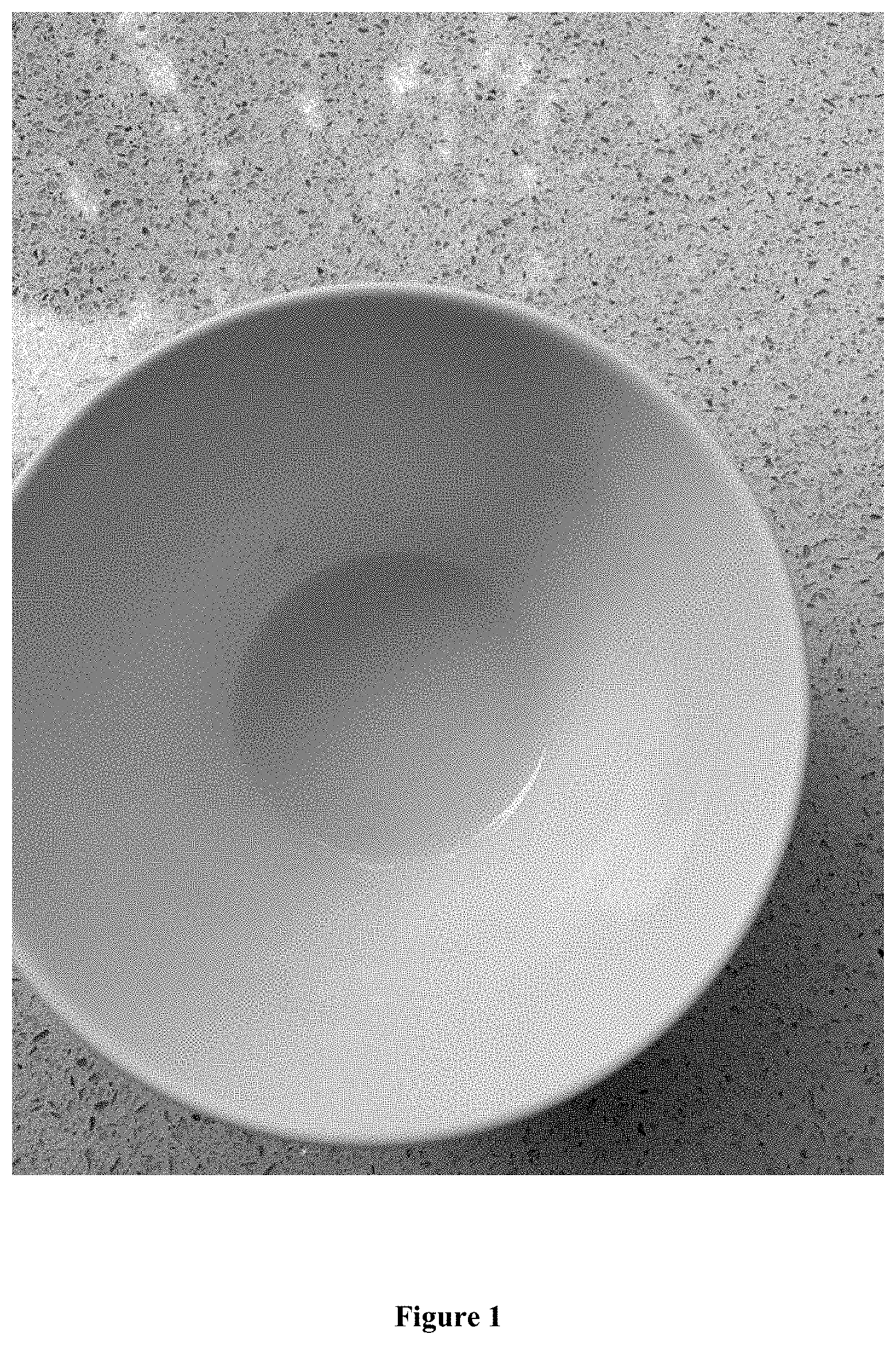 Patent US11793224 — Beverage compositions including calcium supplied from aragonite and methods of making the same — Figure 1