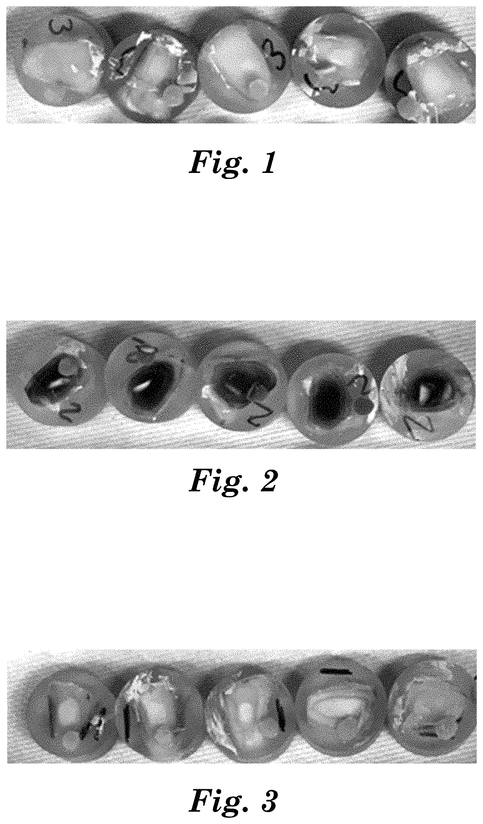 Patent US11793734 — Aqueous oral care iodide-containing compositions, methods, and kits — Figure 1
