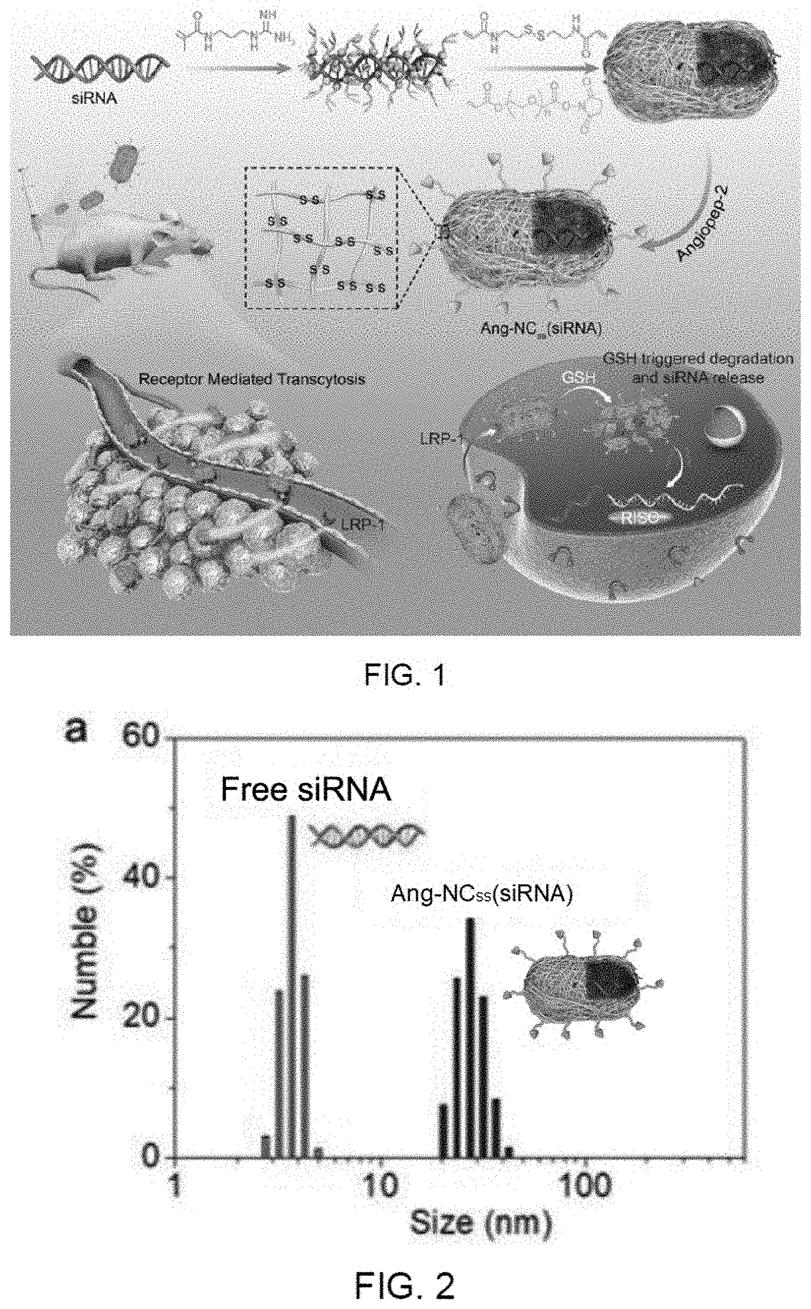 Patent US11793764 — siRNA nanocapsule and preparation method and use thereof — Figure 1