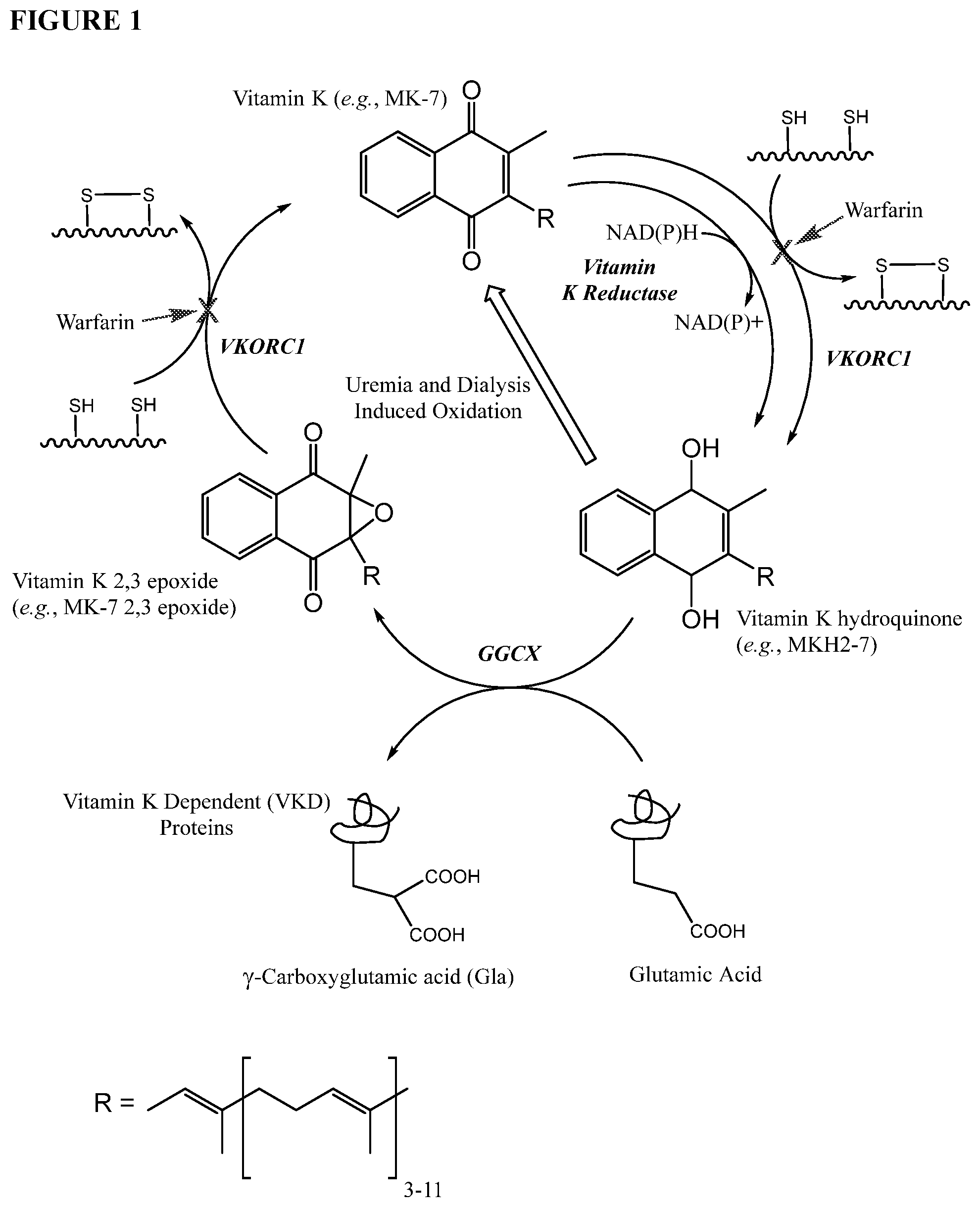 Patent US11793773 — Methods and compositions for preventing or treating calciphylaxis — Figure 1