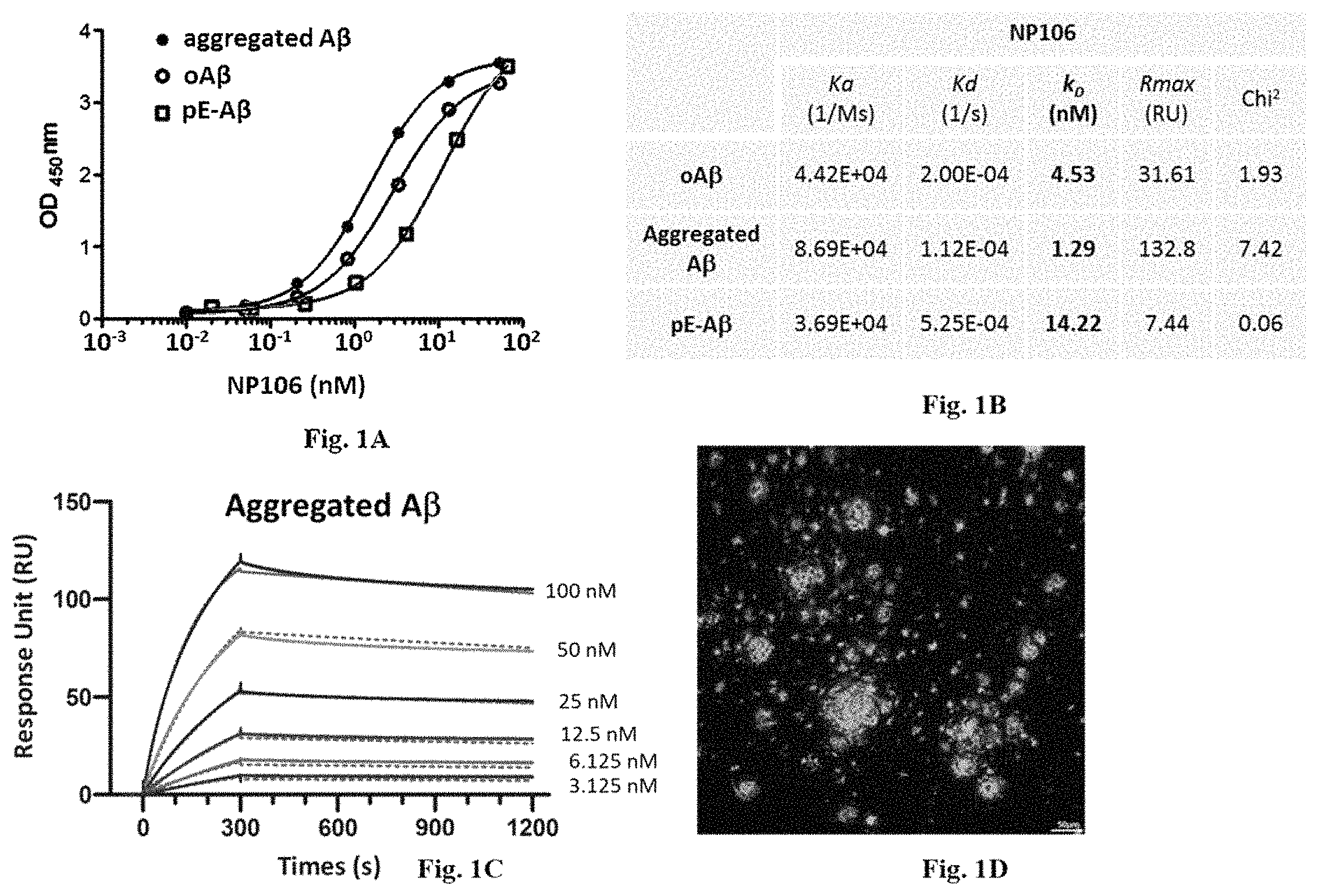 Patent US11793775 — Combined therapy for treating Alzheimer's disease — Figure 1