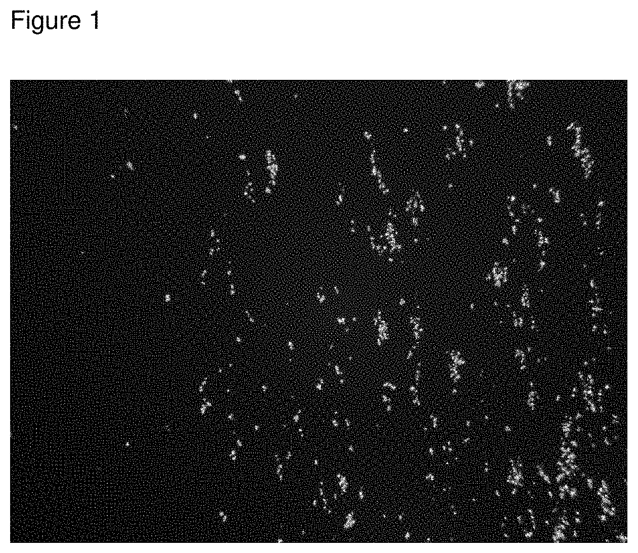 Patent US11793796 — Inhibition of crystal growth of roflumilast — Figure 1