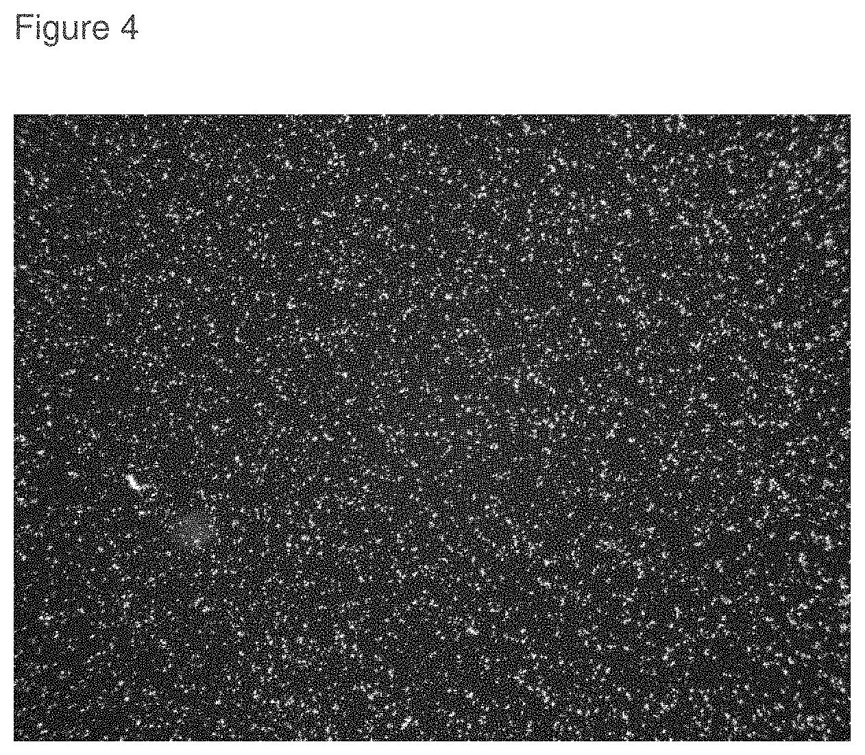 Patent US11793796 Figure 4 – Inhibition of crystal growth of roflumilast