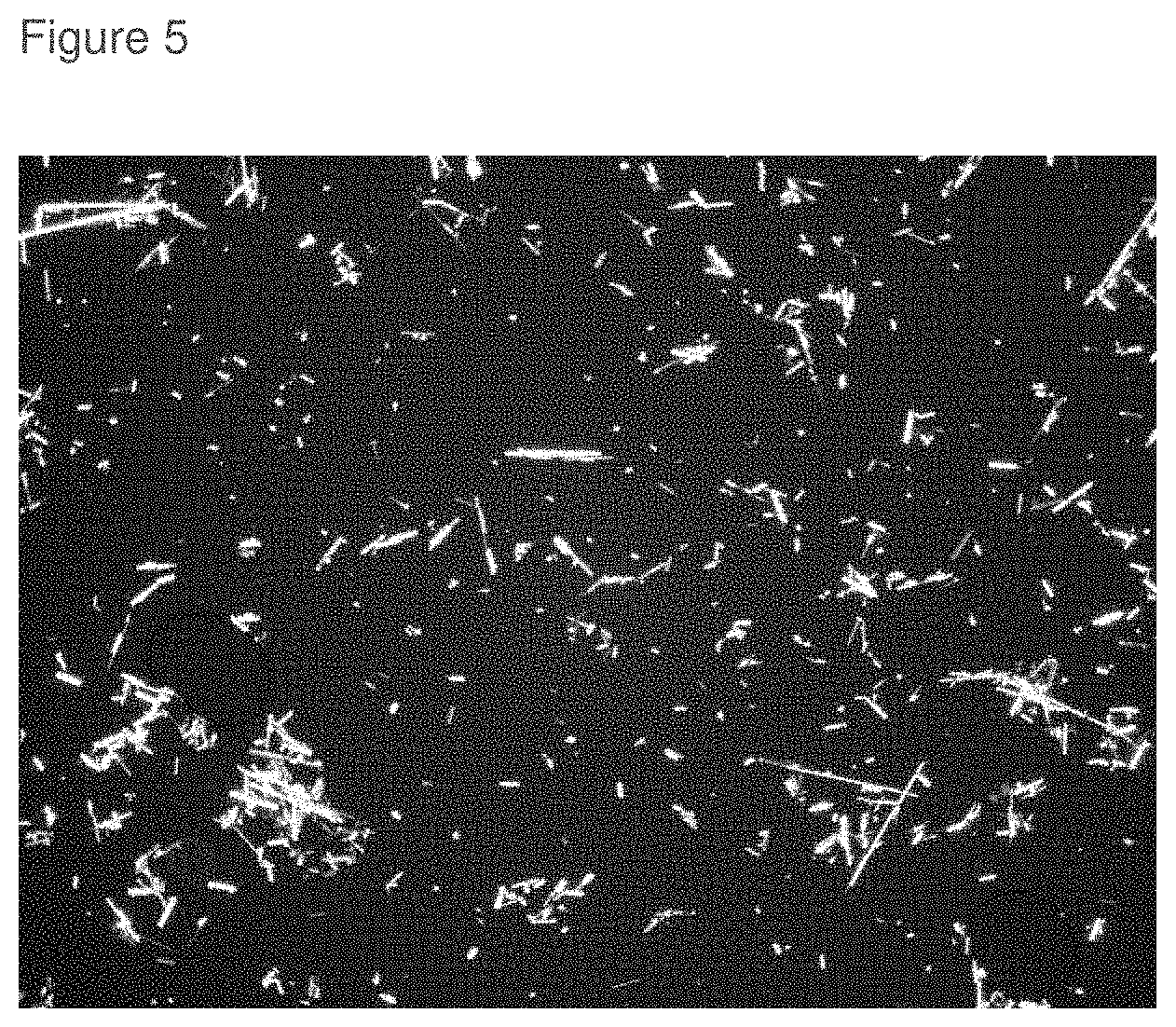 Patent US11793796 Figure 5 – Inhibition of crystal growth of roflumilast