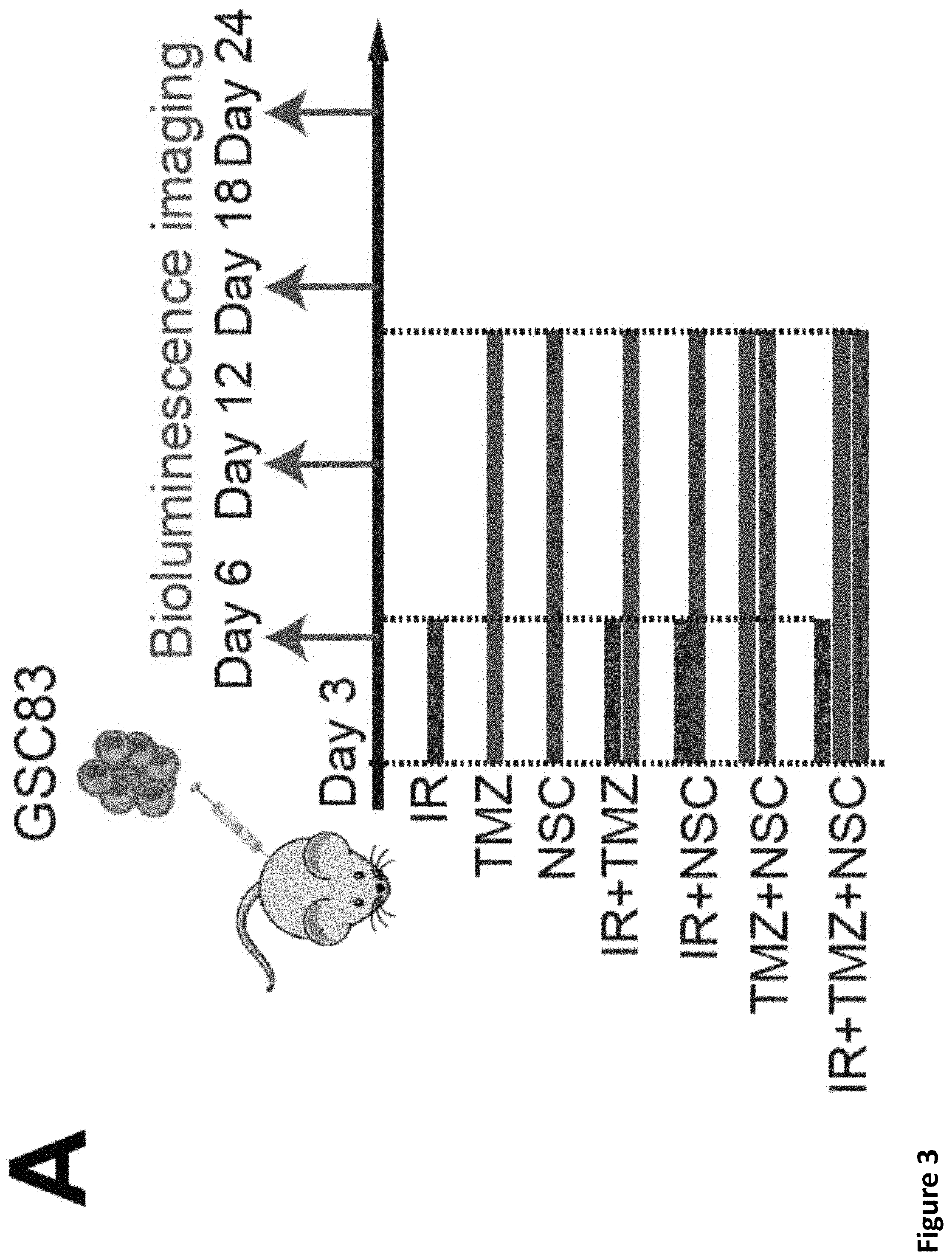 Patent US11793816 Figure 7 – Methods for enhancing cytotoxic cancer therapy through inhibition of ATG4B