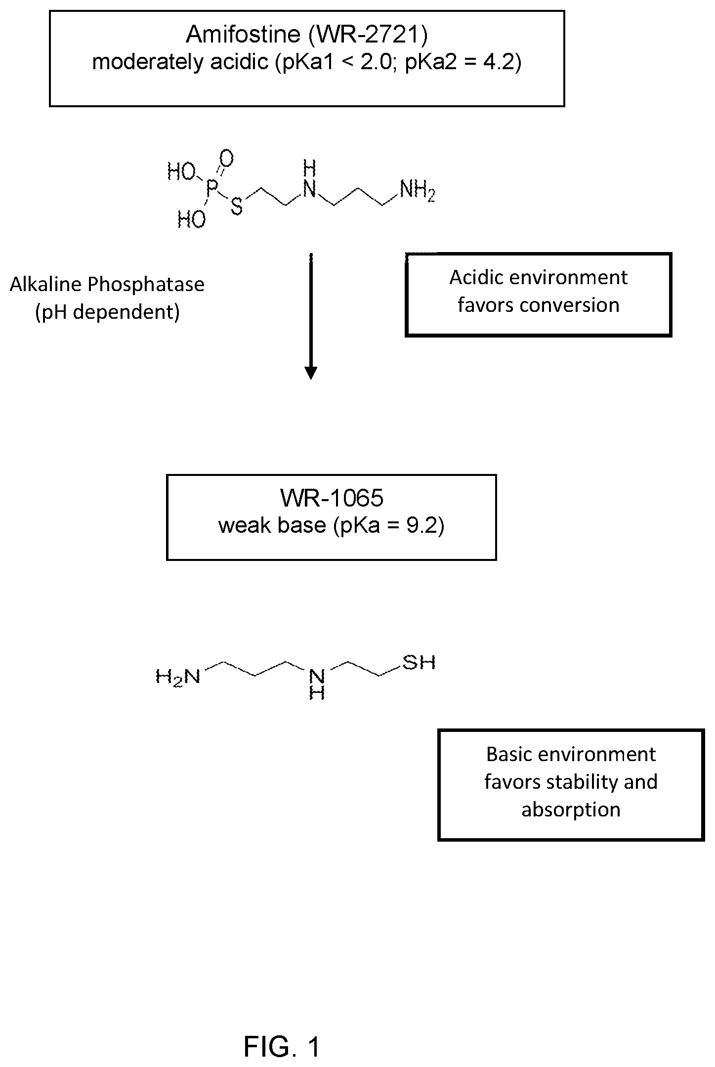 Patent US11793820 — Dry powder foamable formulations for delivery of medicaments through the mucosa — Figure 1