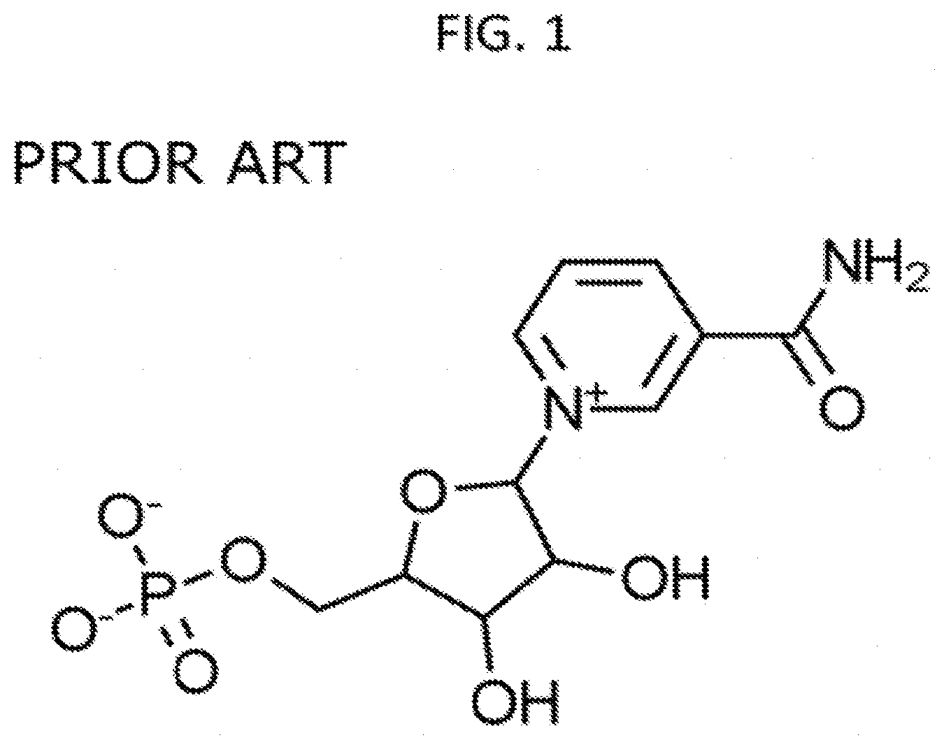 Patent US11793824 — Administration of nicotinamide mononucleotide in the treatment of disease — Figure 1