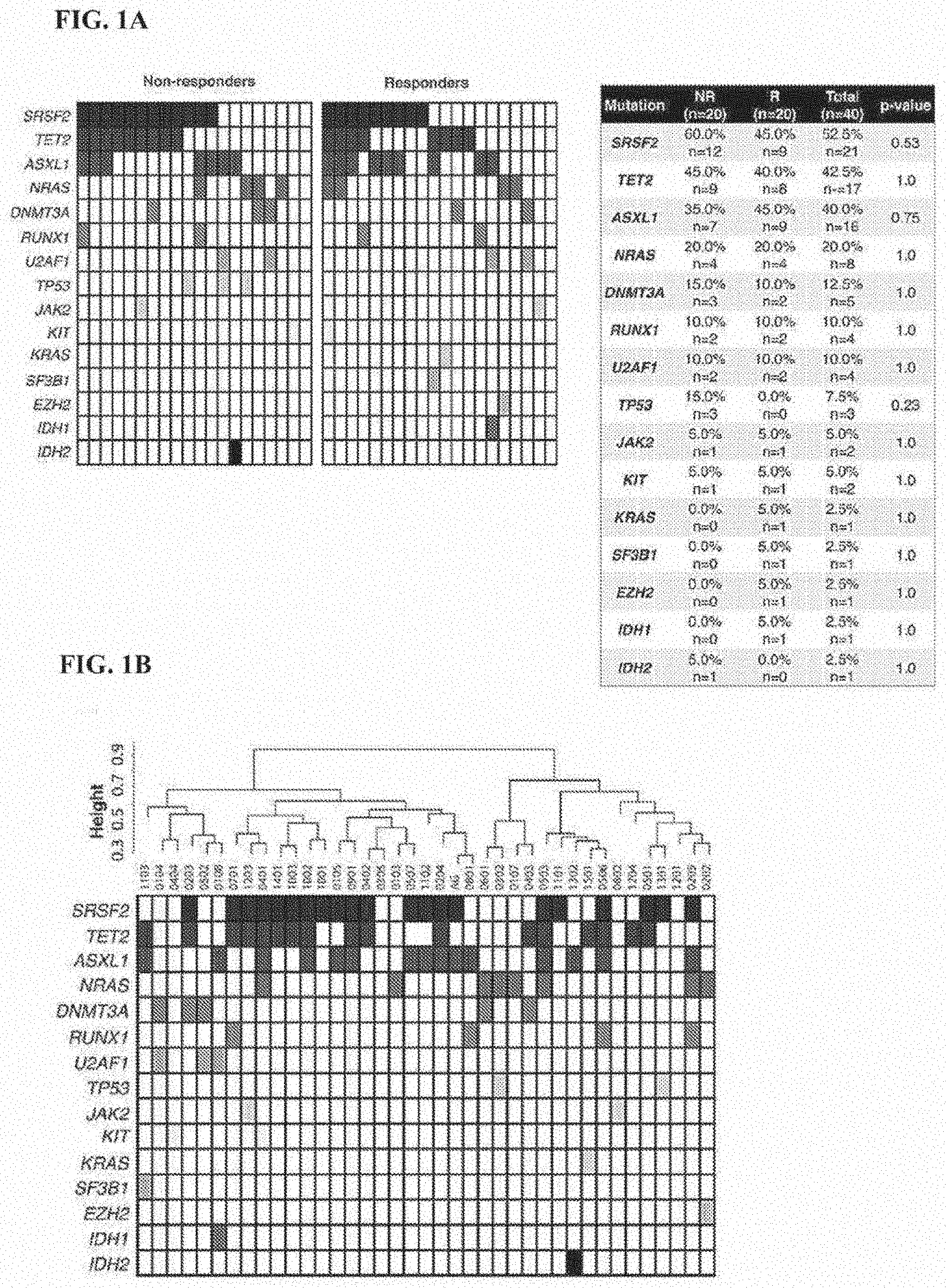 Patent US11793825 — Biomarkers for predicting responsiveness to decitabine therapy — Figure 1