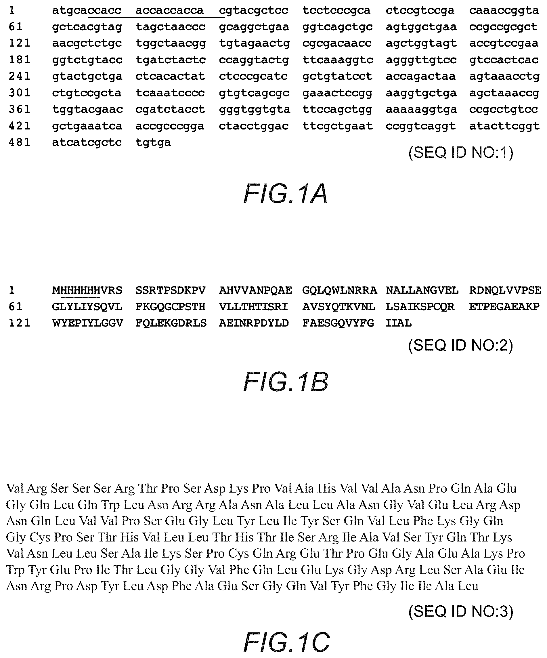 Patent US11793836 — Method for treating complications related to acute or chronic hyperglycemia — Figure 1