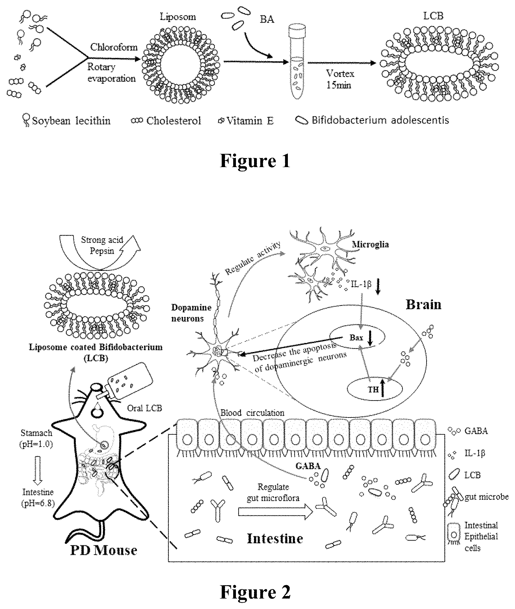 Patent US11793840 — Nano-armored single cell product for treating Parkinson's disease through bacteria and a preparation method thereof — Figure 1