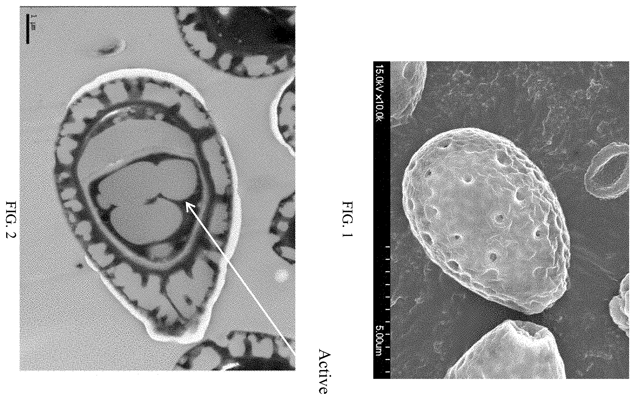 Patent US11793846 — Bitter Ganoderma lucidum spore powder and preparation method thereof — Figure 1