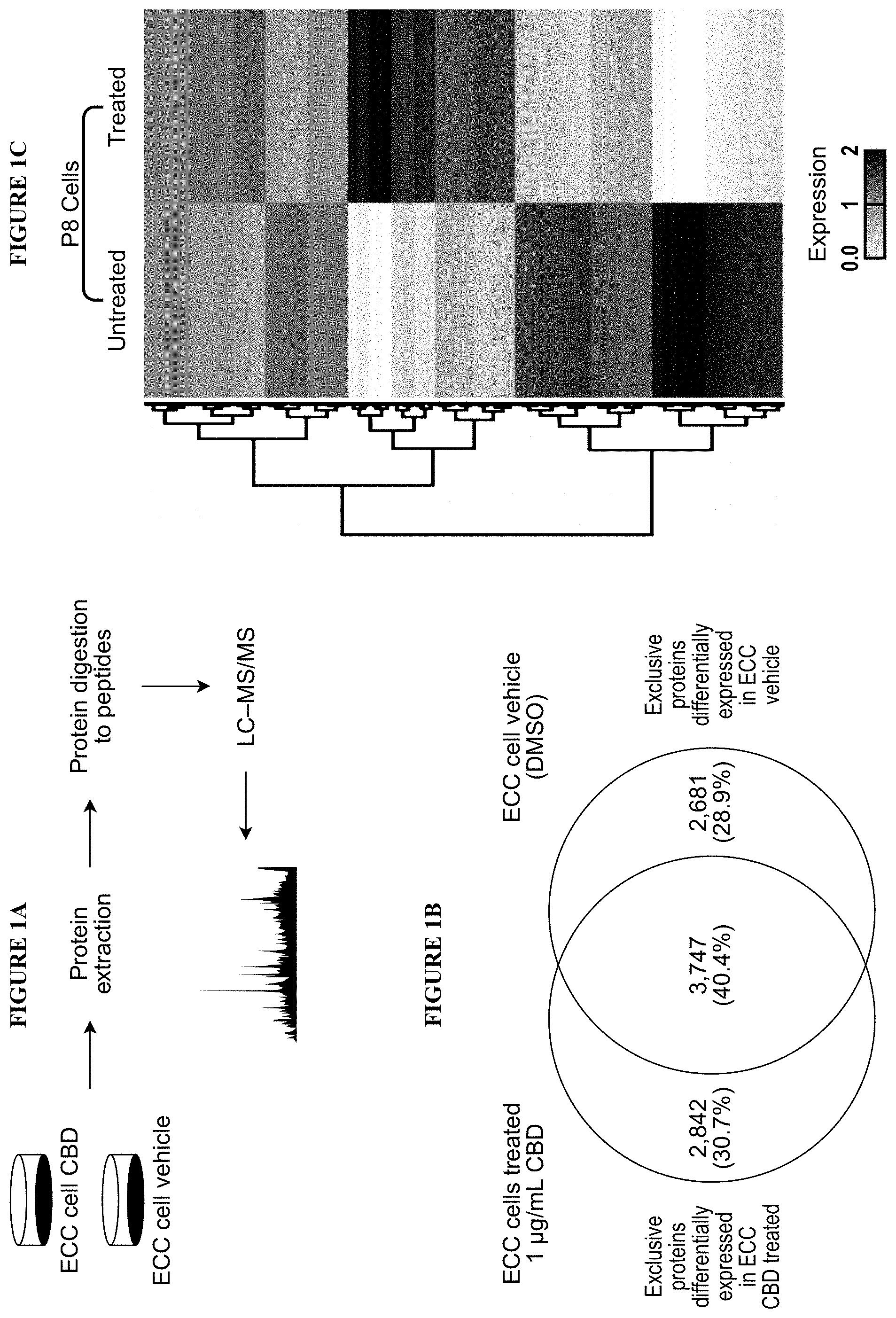 Patent US11793847 — Methods of treating endometrial cancer using hemp extract — Figure 1