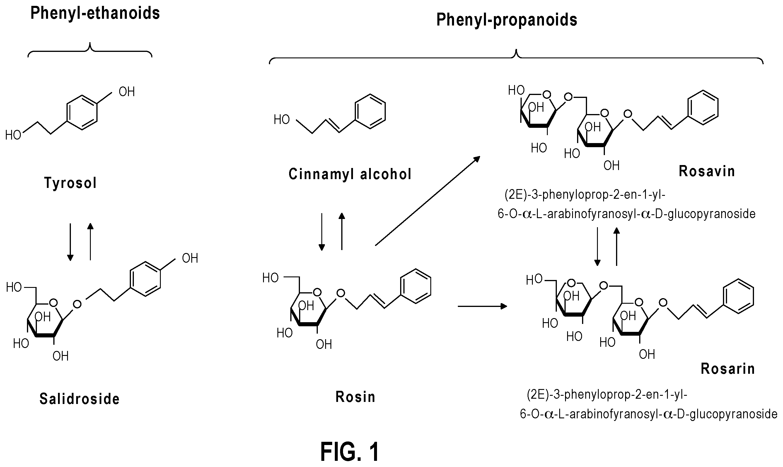 Patent US11793848 — High yield extraction method for and products of Rhodiola plants — Figure 1