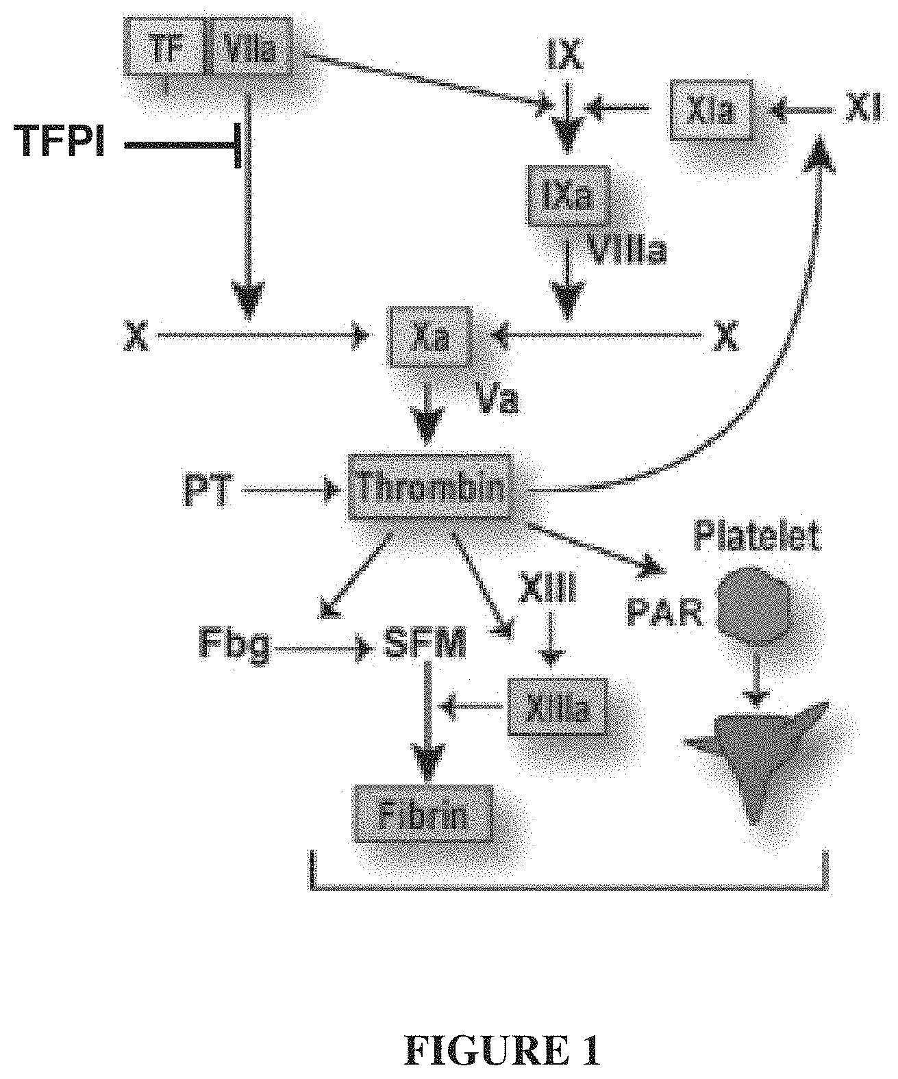 Patent US11793855 — TFPI inhibitors and methods of use — Figure 1