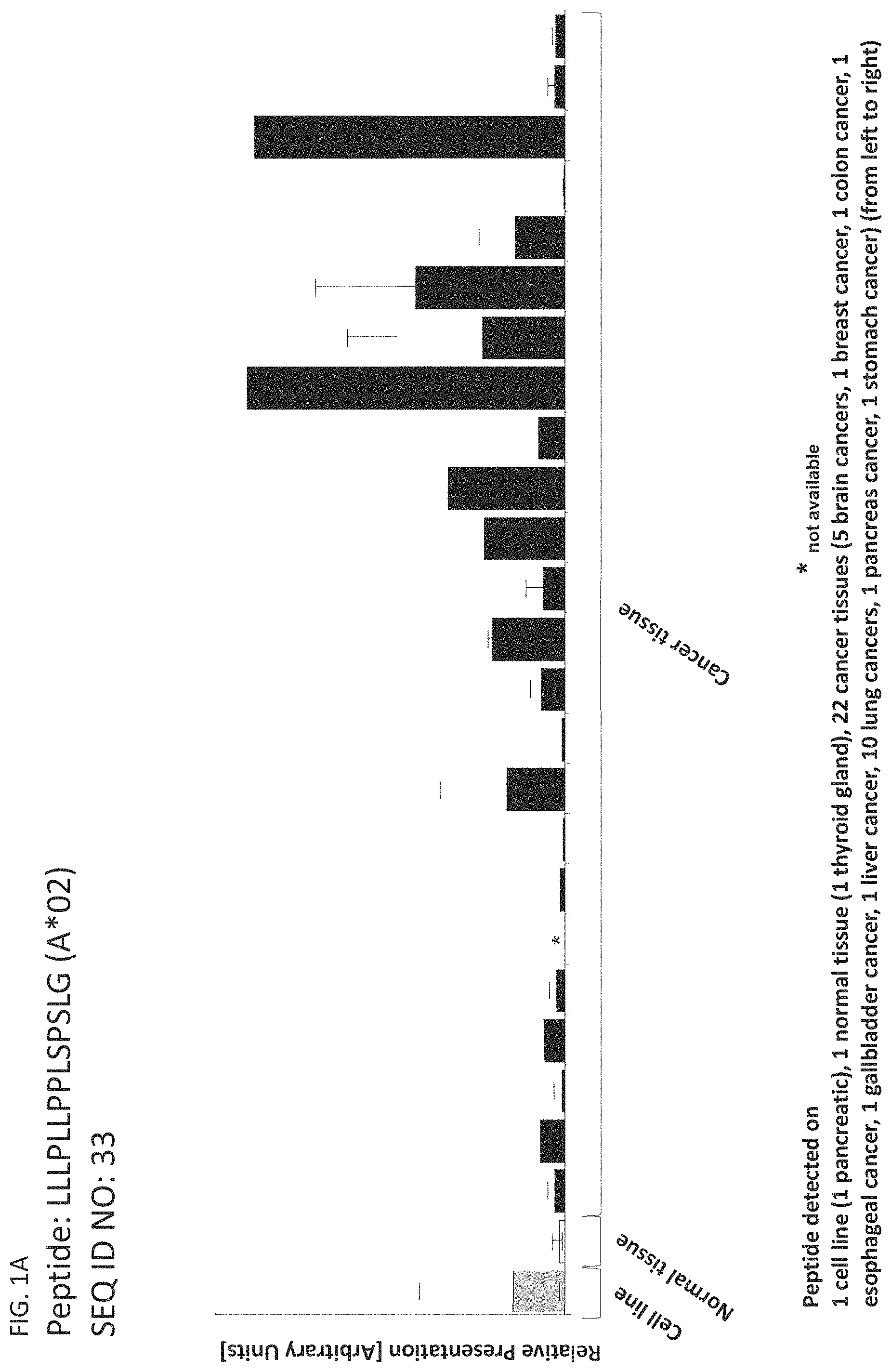 Patent US11793866 — Peptides and T cells for use in immunotherapeutic treatment of various cancers — Figure 1